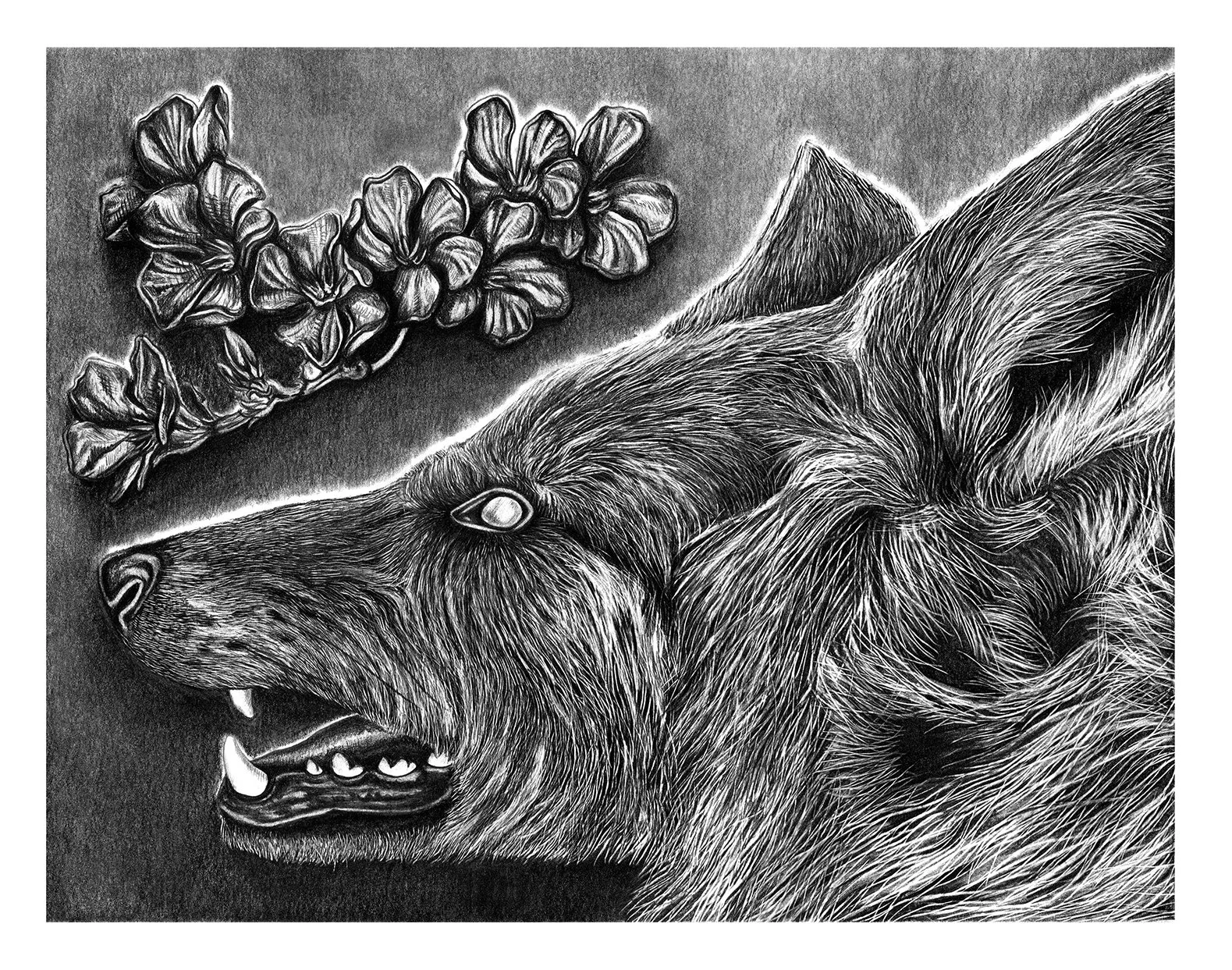 Oleander Season, Graphite on Bristol, 12x15in.