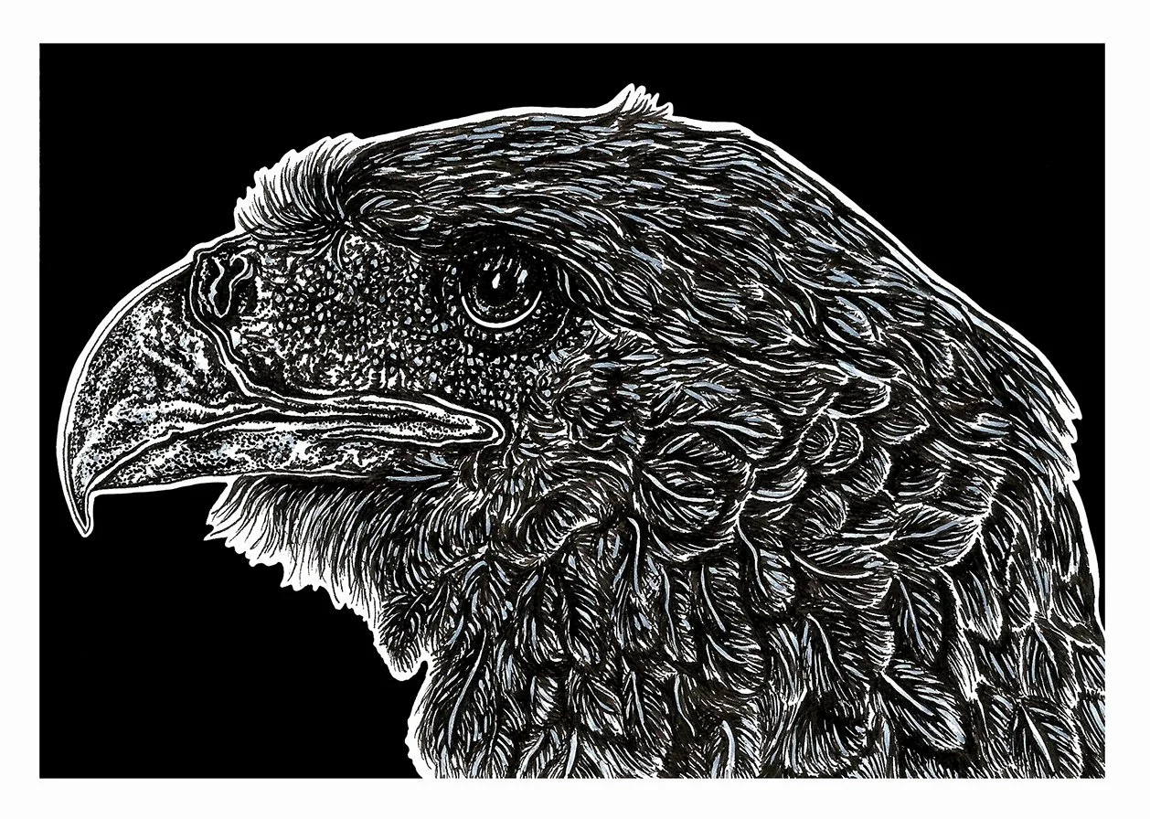 Untitled, Ink on Bristol, 5x7in.