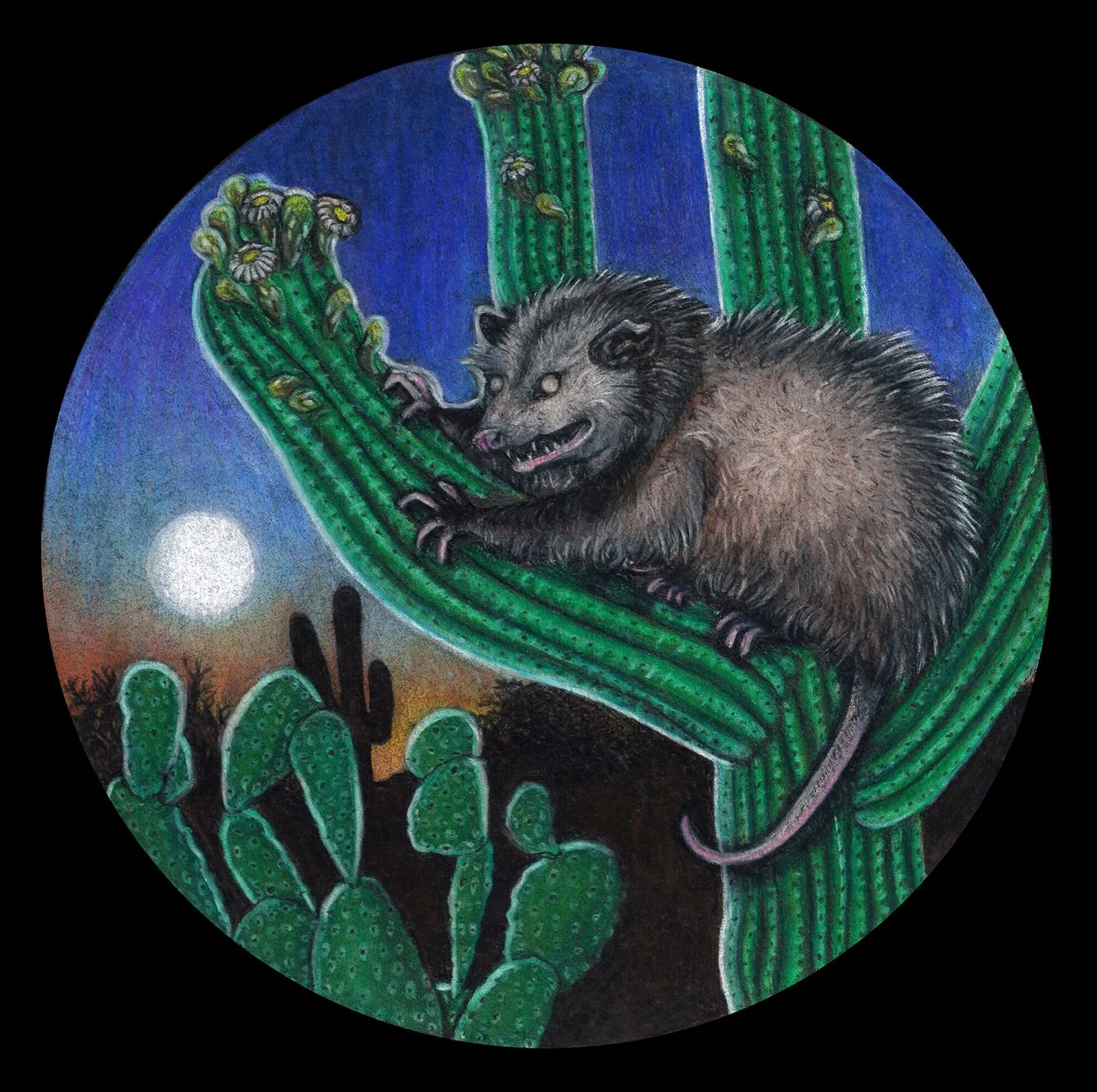 Untitled, Colored pencil on illustration board, 8x8in.