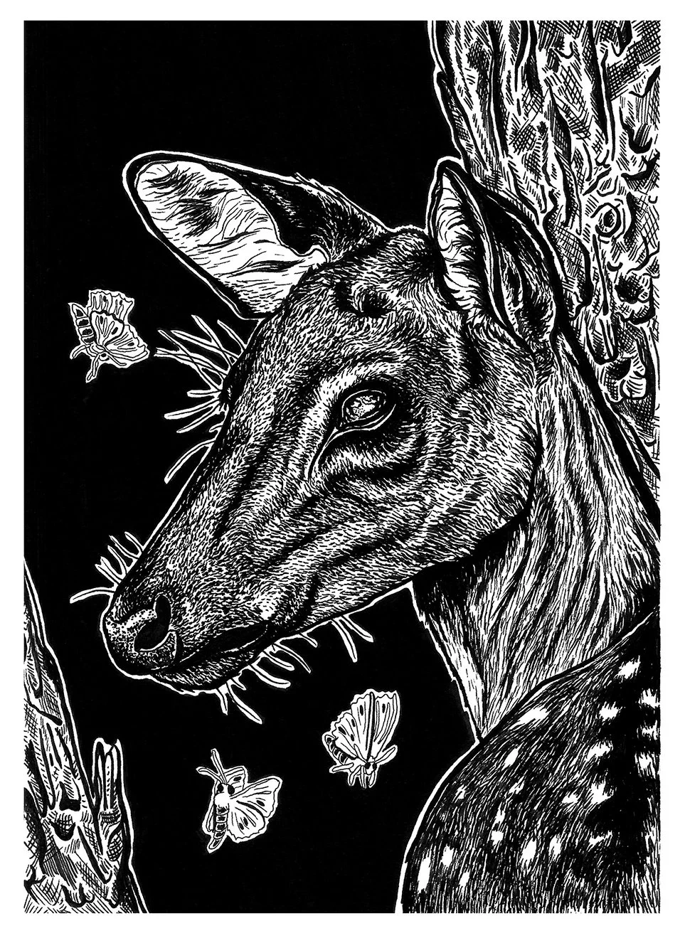 Untitled, Ink on Bristol, 7x5in.