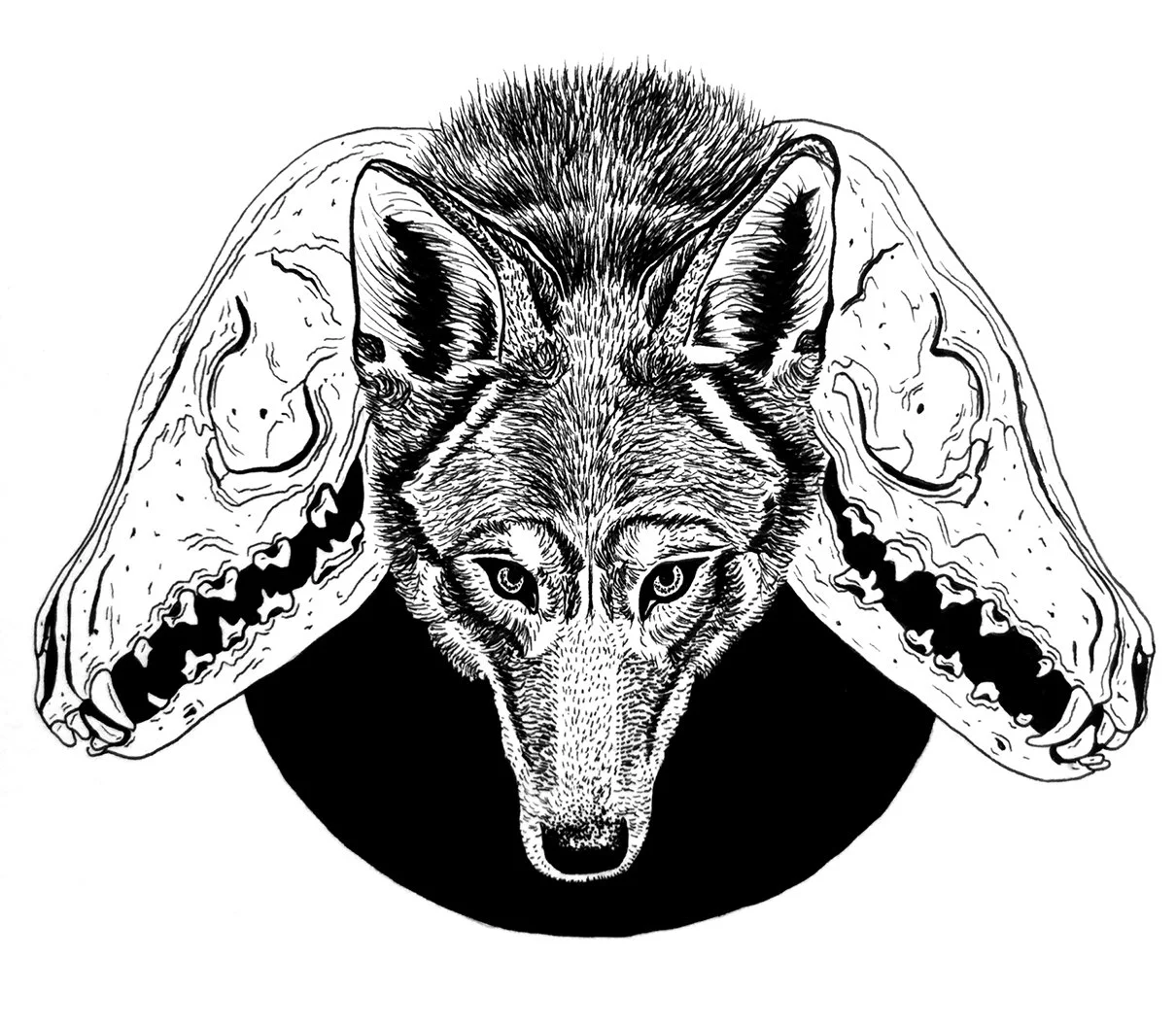 Untitled, Ink on Bristol, 5x6in.