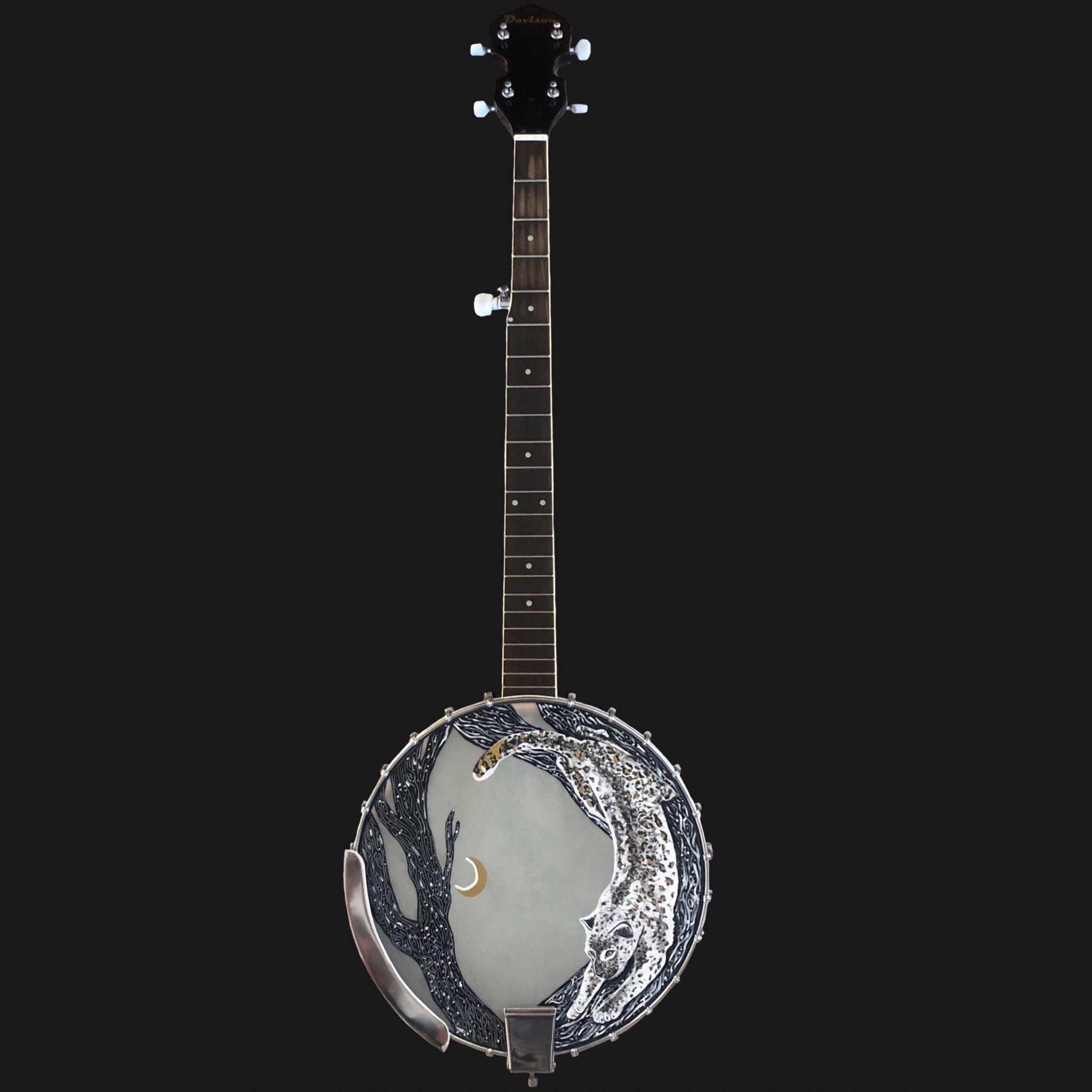 Untitled, Acrylic and enamel on banjo