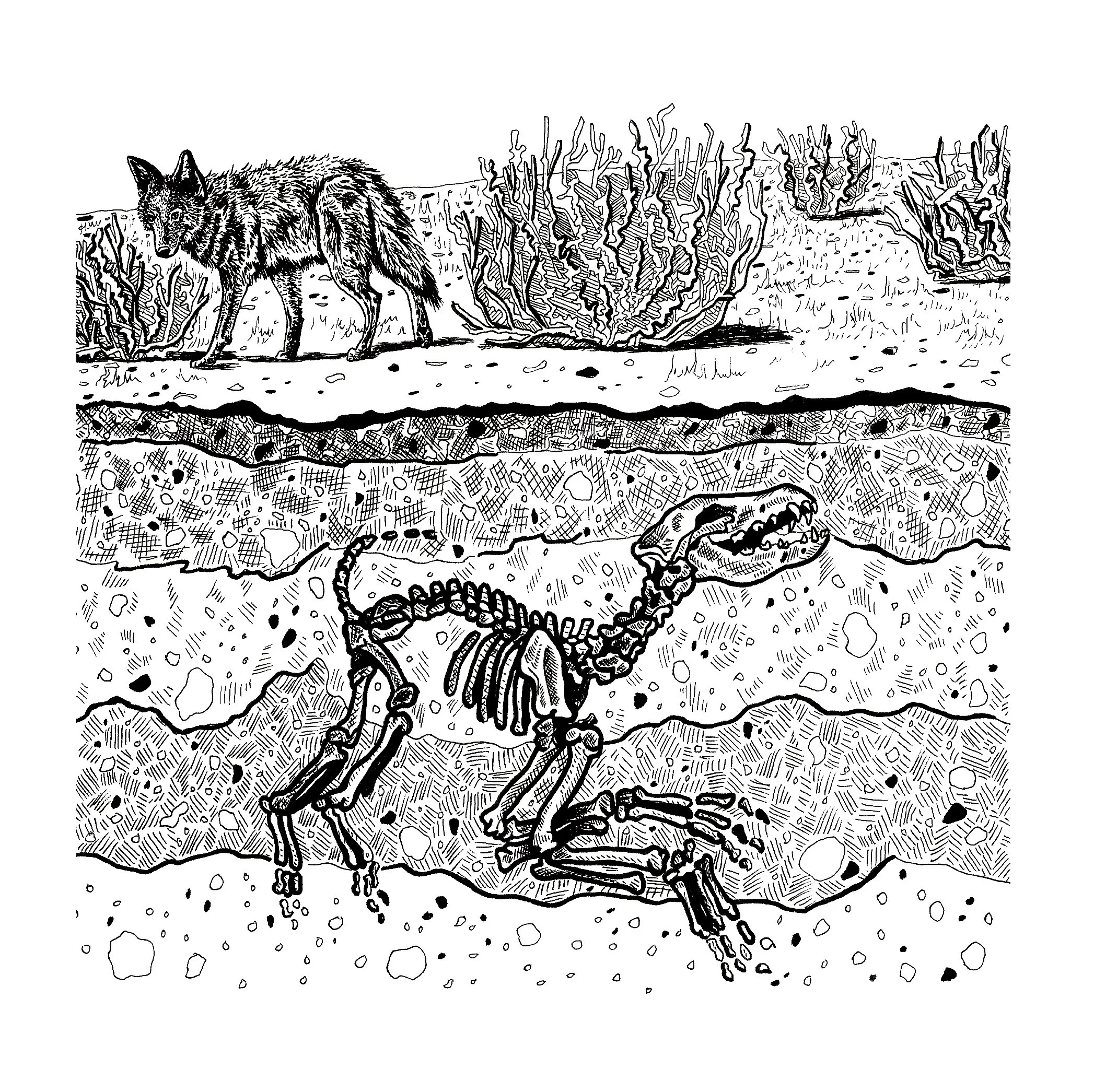 Summer Funeral, Ink on Bristol, 8x8in.