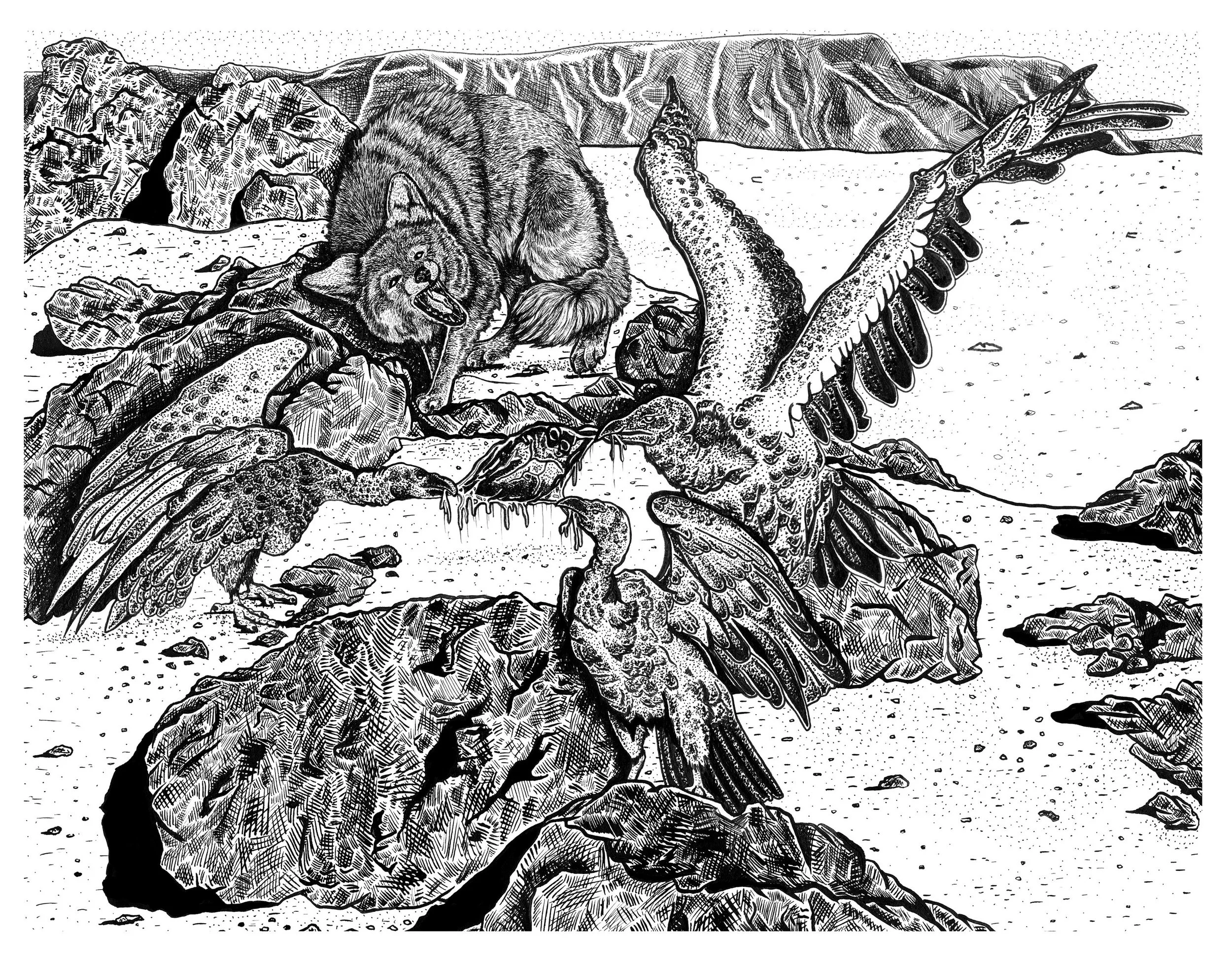Untitled, Ink on Bristol, 13x15in.
