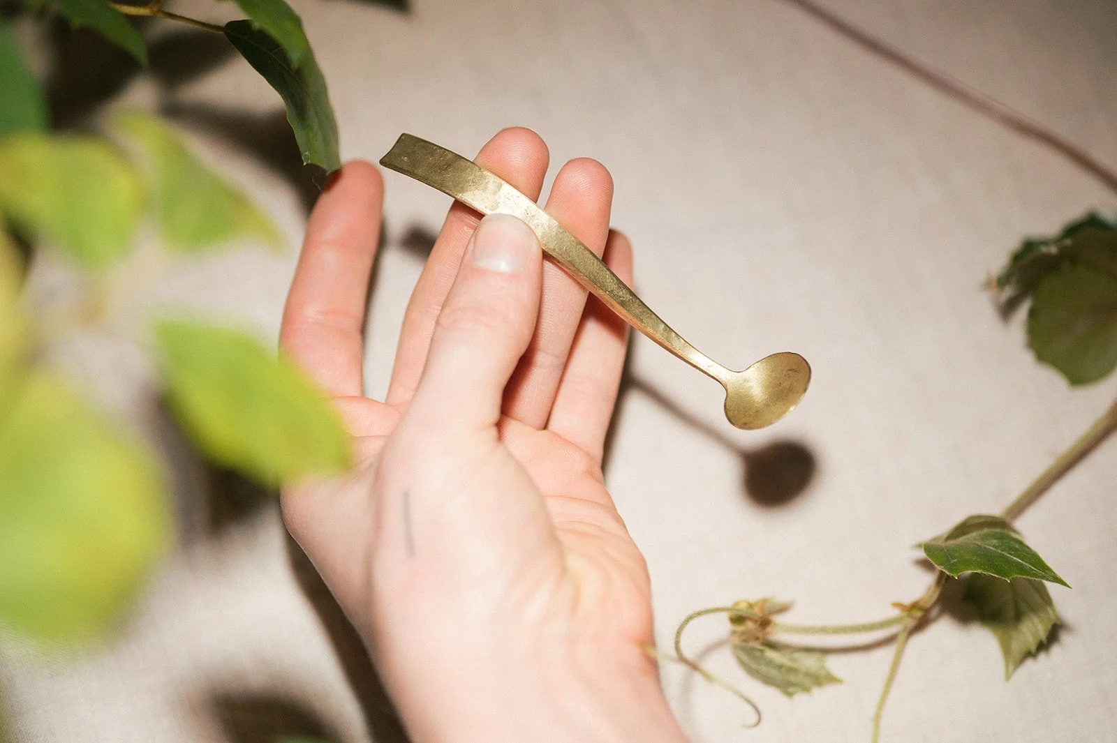 Forged brass salt scoop