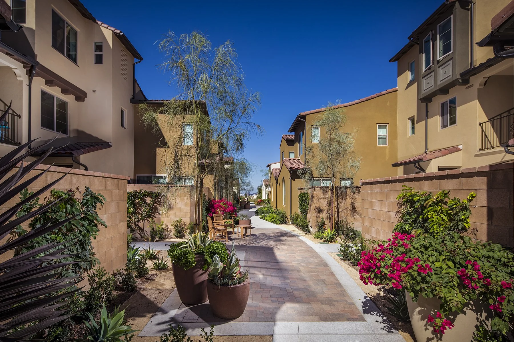 2 Alturas-Angelino_Inc_EricFiggePhotos.jpg