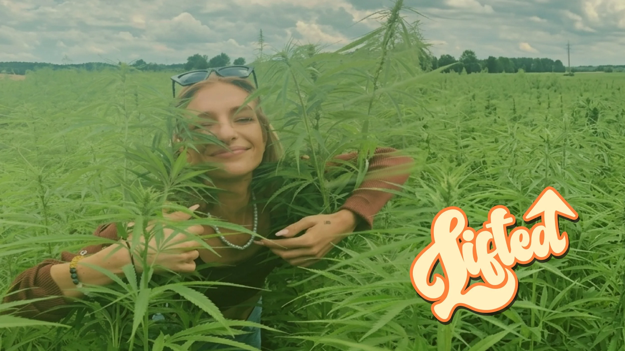lifted intro.jpg