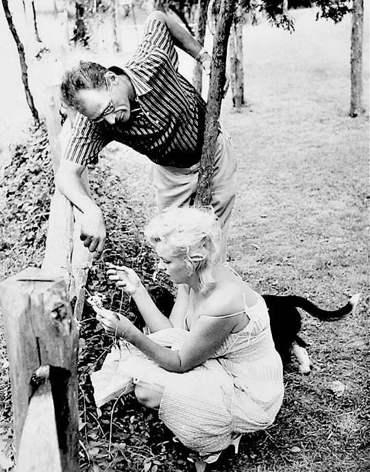 Marilyn Monroe was known to shop at the store’s location when it was George’s Grocery in the 1950s, while she was married to playwright Arthur Miller, living with him in nearby Roxbury. Shown here is Marilyn Monroe with Arthur Miller.