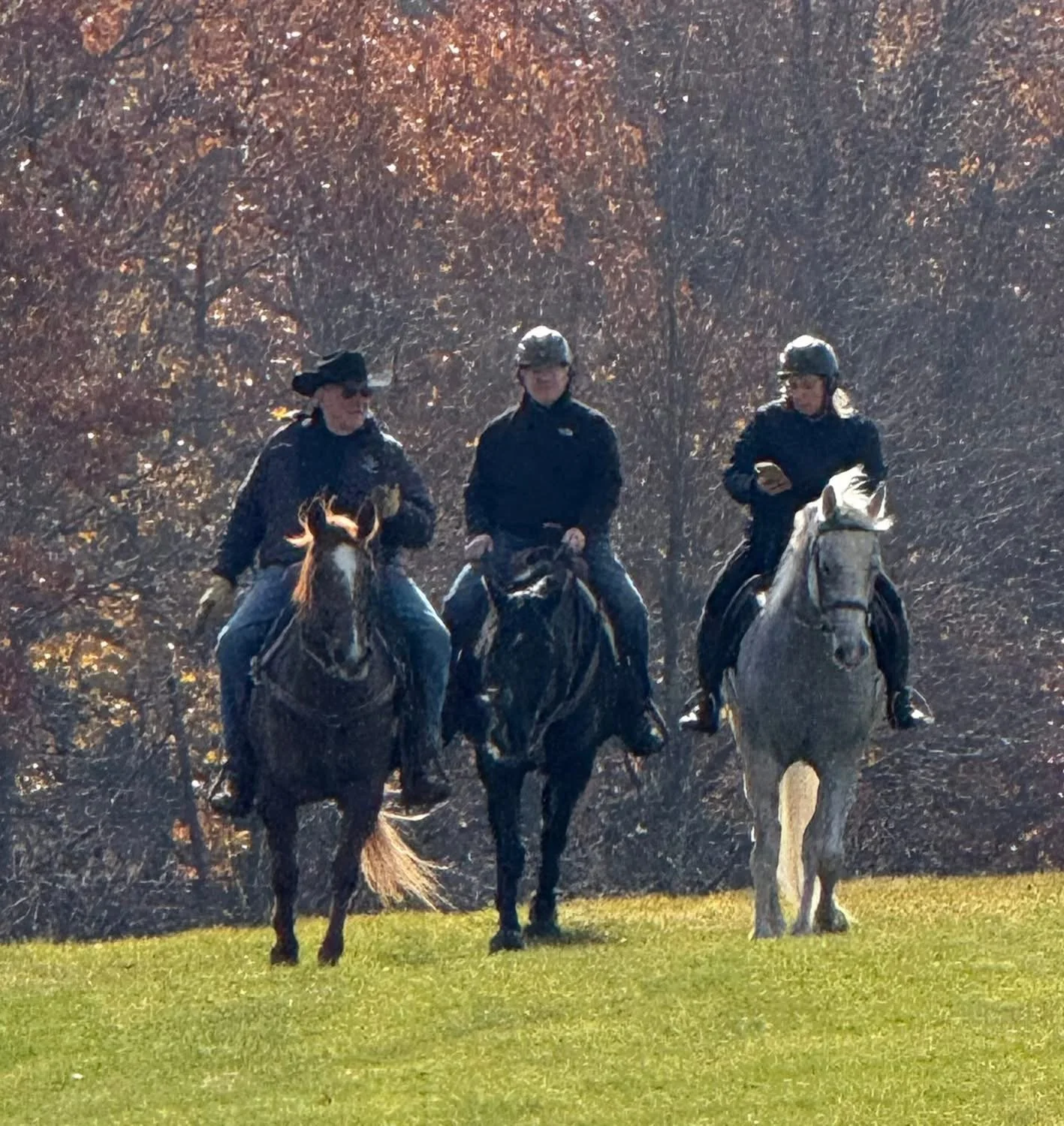 Three people riding horses on a grassy field with trees in the background.