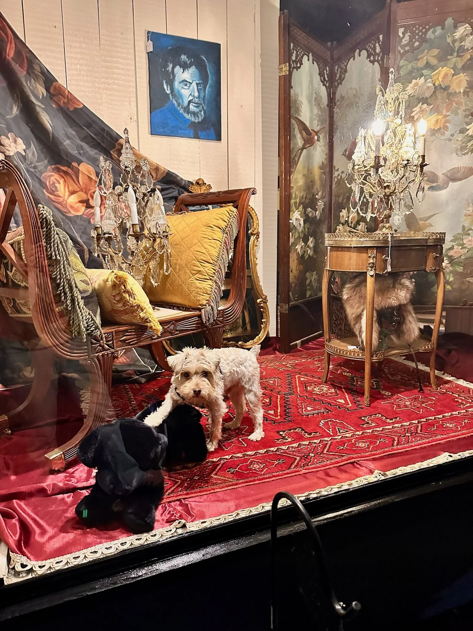 A display window at Villa Vintiques with a vintage Persian rug, antique furniture, a chandelier, and framed artwork, including a portrait of a bearded man, along with Howard playing with a black stuffed dog.
