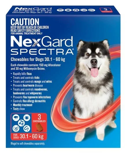 nexgard-spectra-x3-retail-pack-shot-front-30.1-60kg-xlarge.jpg