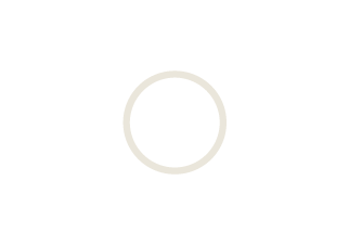 Simple line drawing of a circle with a smaller circle inside, on a black background.