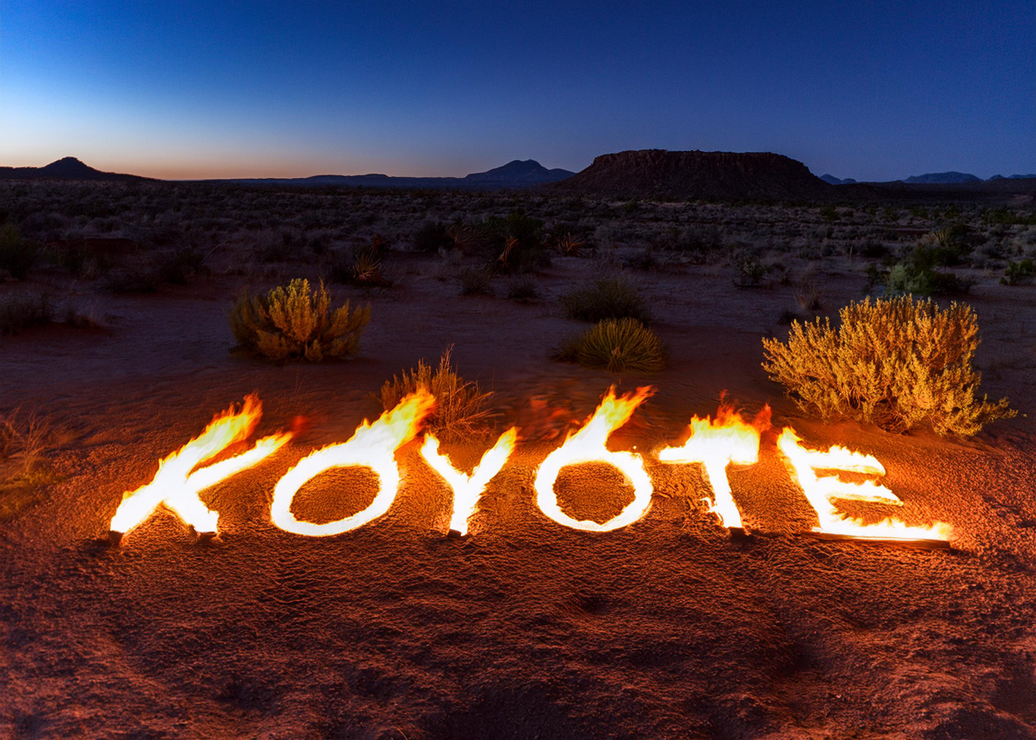 FIRE KOYOTE.png