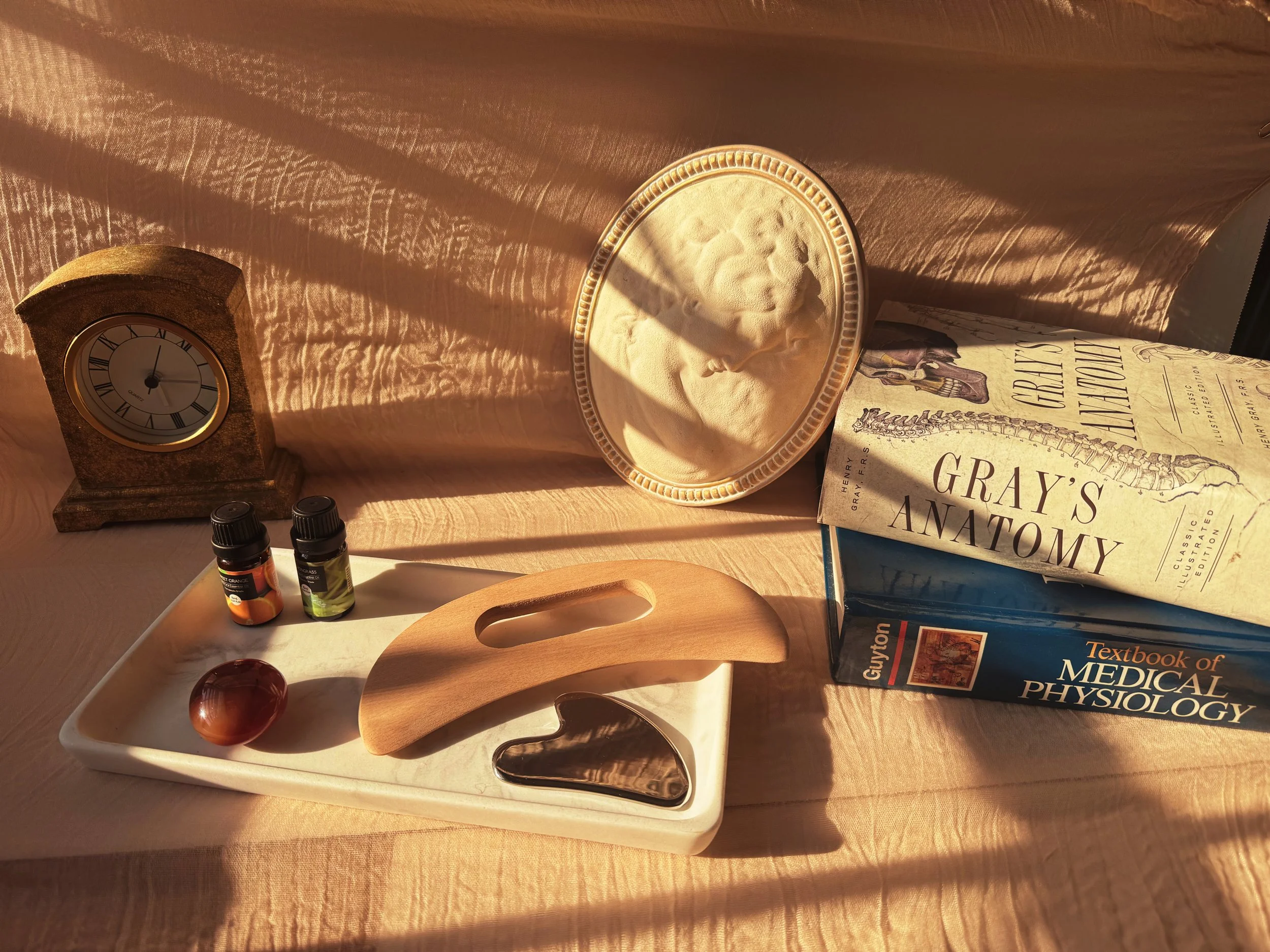 A wooden table with a clock, a decorative dish with sand and seashells, two small bottles, sunglasses, a spoon, and a stack of books including 'Gray's Anatomy' and 'Textbook of Medical Physiology'. Sunlight creates shadows on a textured pink curtain.