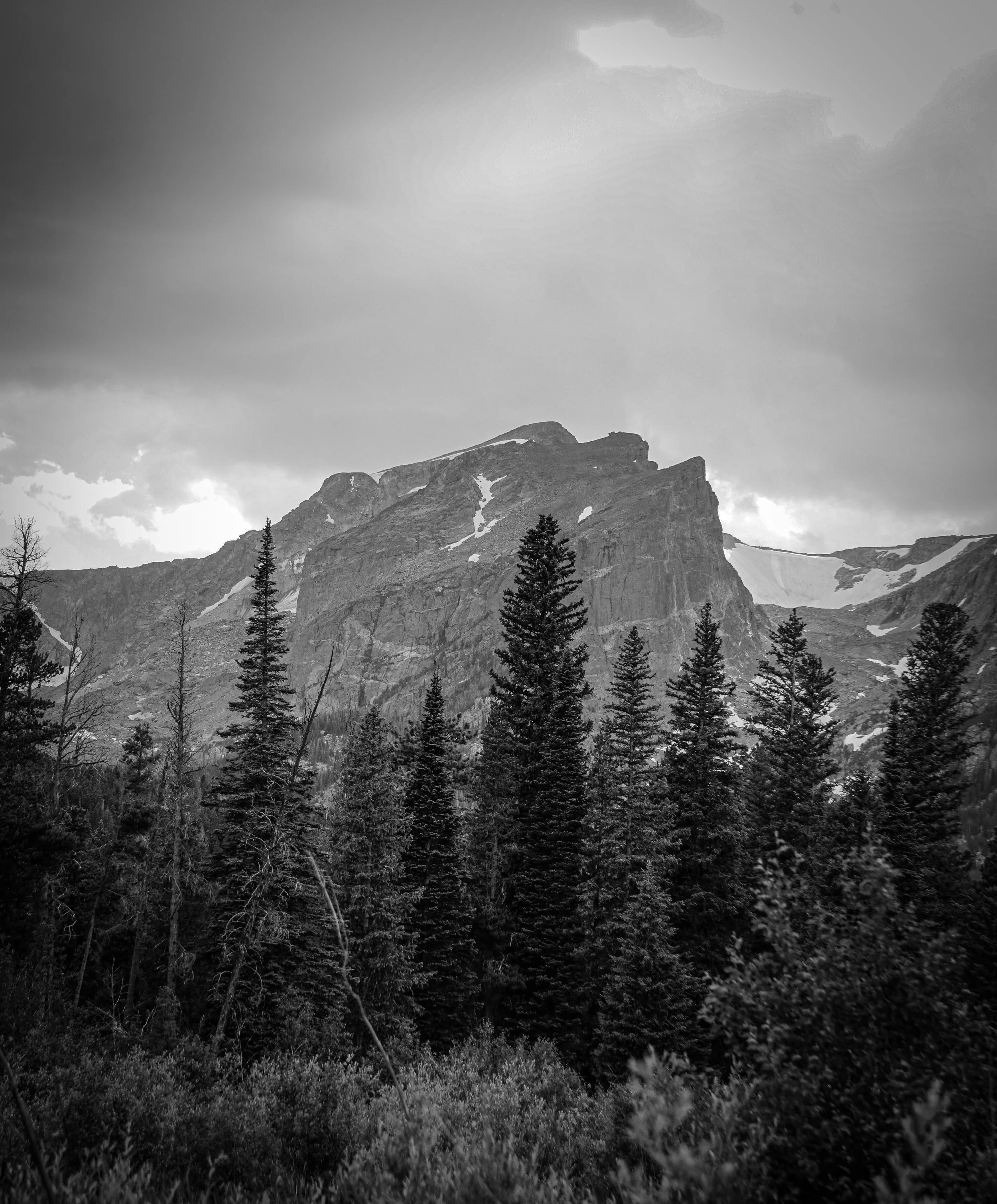 DSC08217.jpg