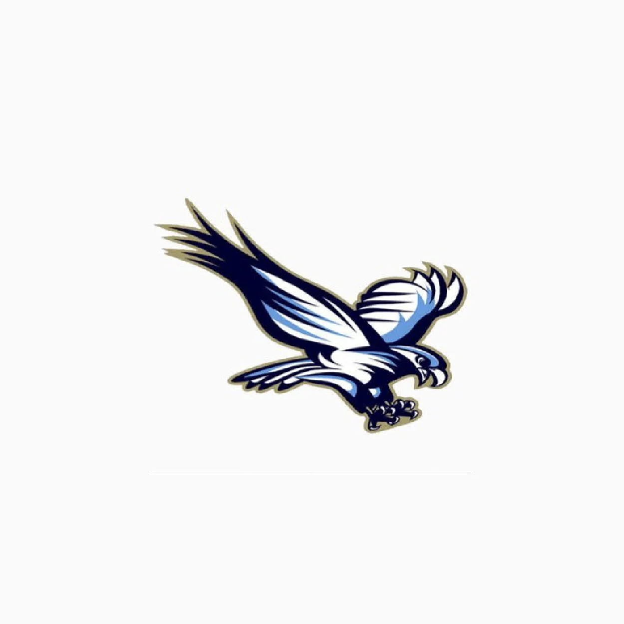 Liberty High School