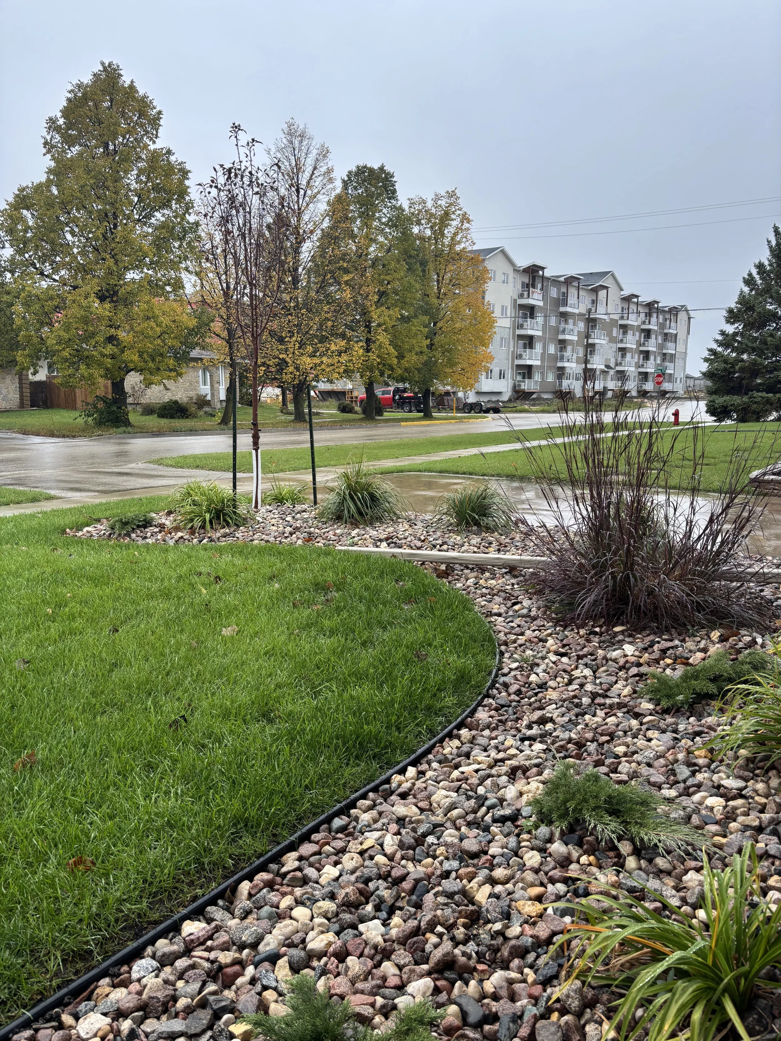 A residential area with green grass, decorative rocks along the edge of the sidewalk, small plants, and trees changing color, with an apartment building in the background under an overcast sky.