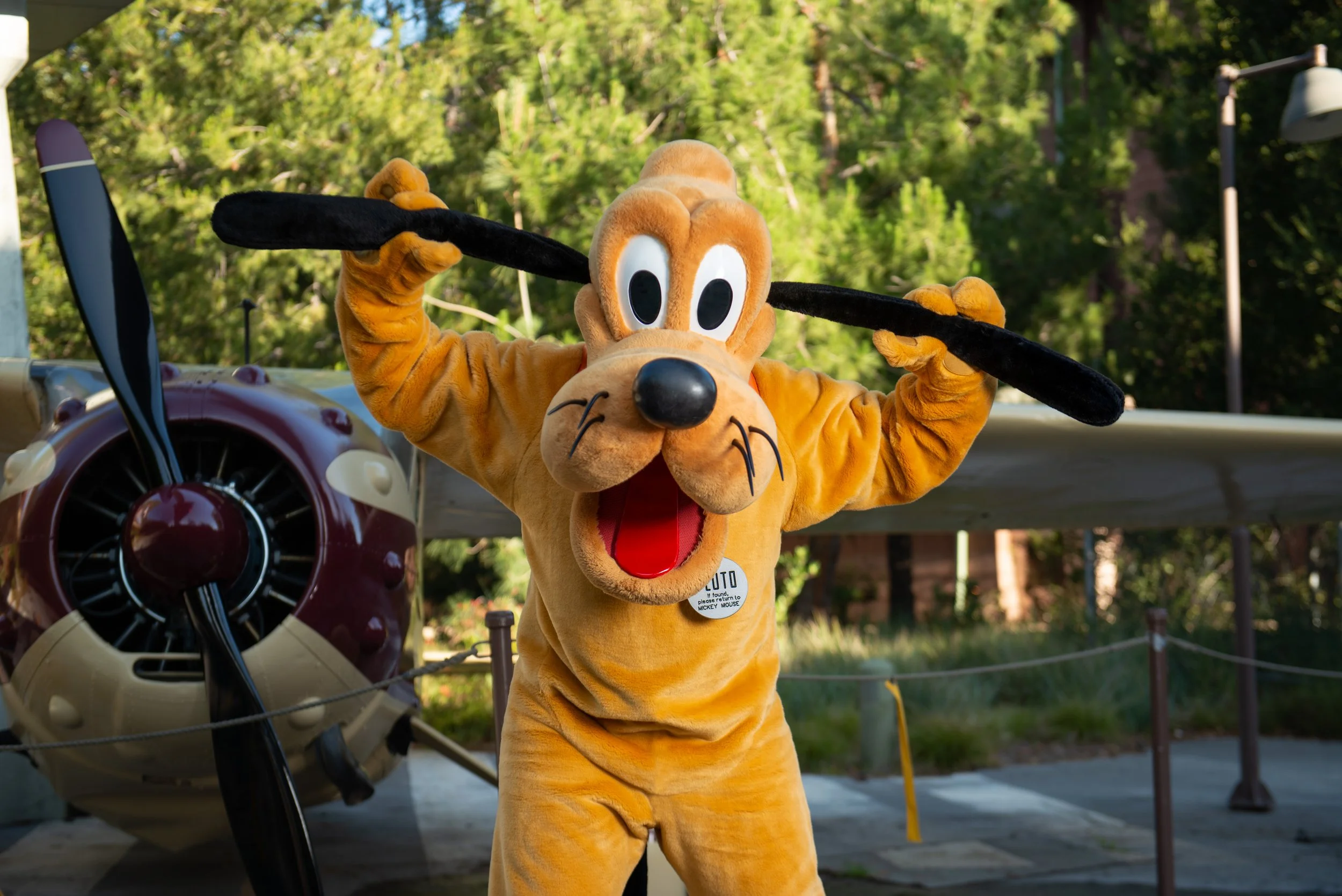 the walt disney company