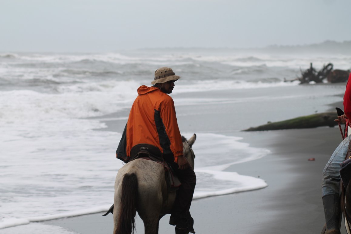 A person in an orange jacket and beige hat riding a light-colored horse along a beach with waves crashing on the shore, overcast sky.