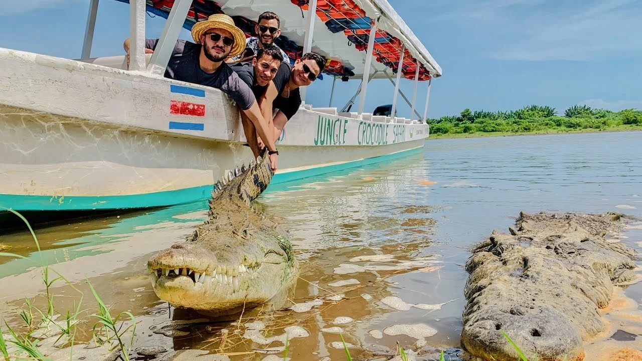 Four men and one woman on a boat labeled 'Jungle Crocodile Safari' leaning over the edge holding a baby crocodile near the water's edge, with a large crocodile lying on the shore nearby.