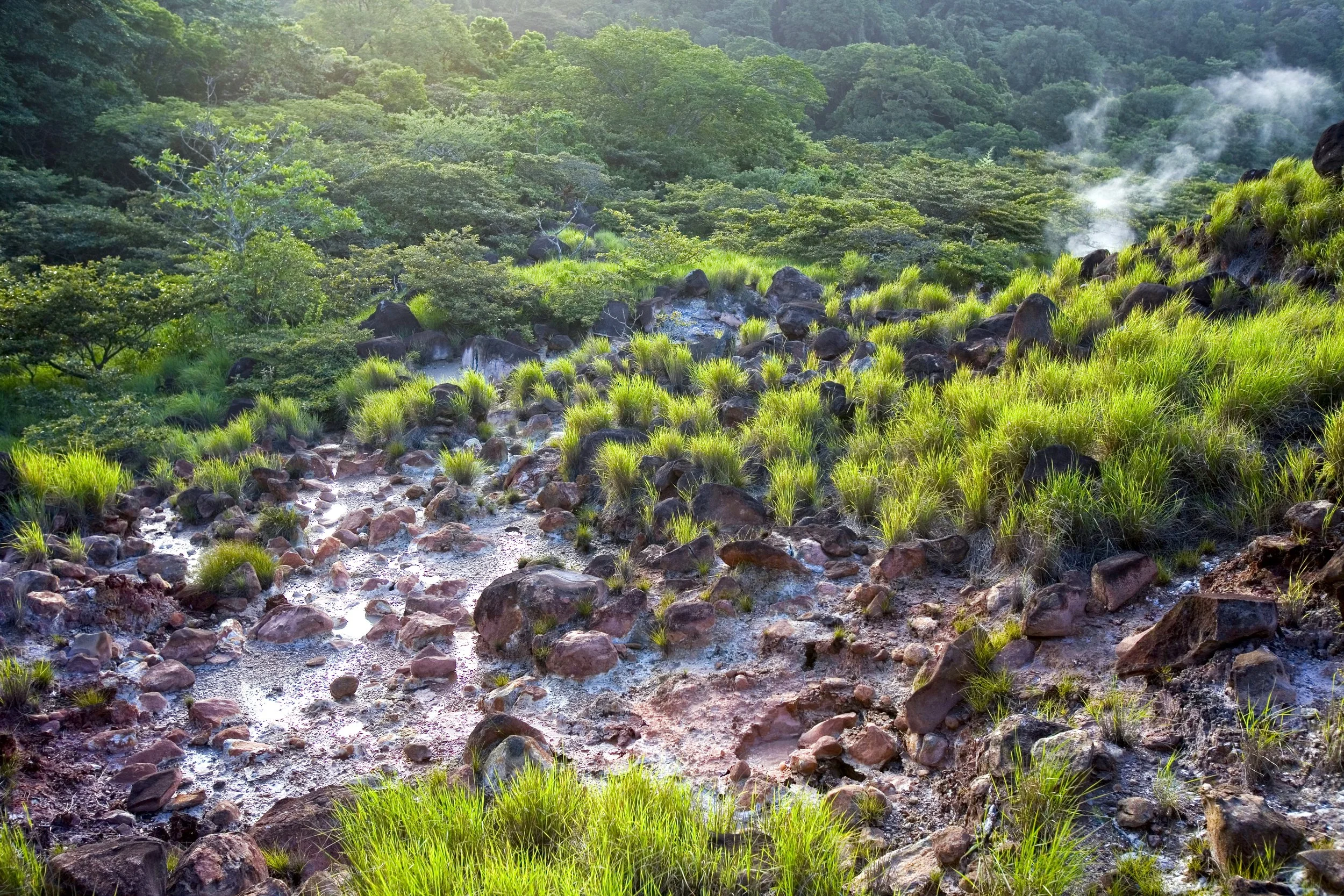Lush green mountains with steaming hot springs, rocks, and grassy fields, sunlight shining through trees in the background.