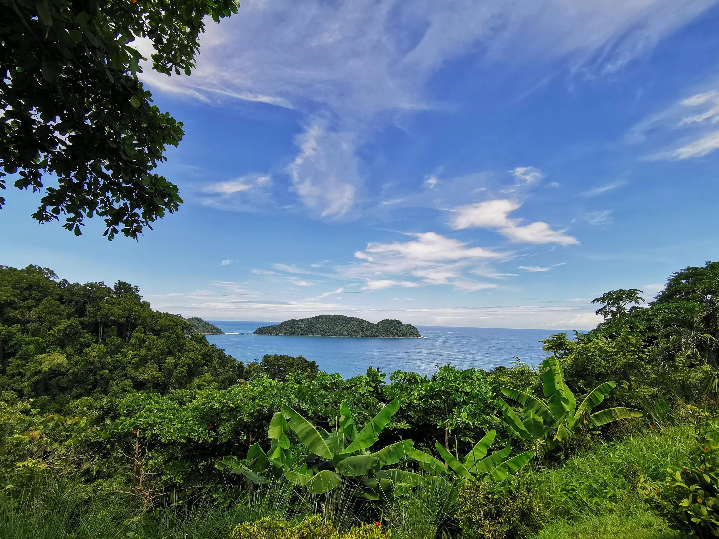 Lush green tropical forest with hills and ocean in the distance under a partly cloudy sky.
