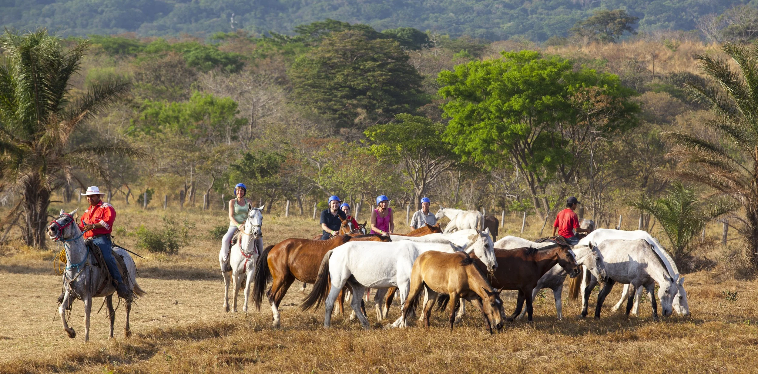 Group of people horseback riding through a grassy field with trees and hills in the background.