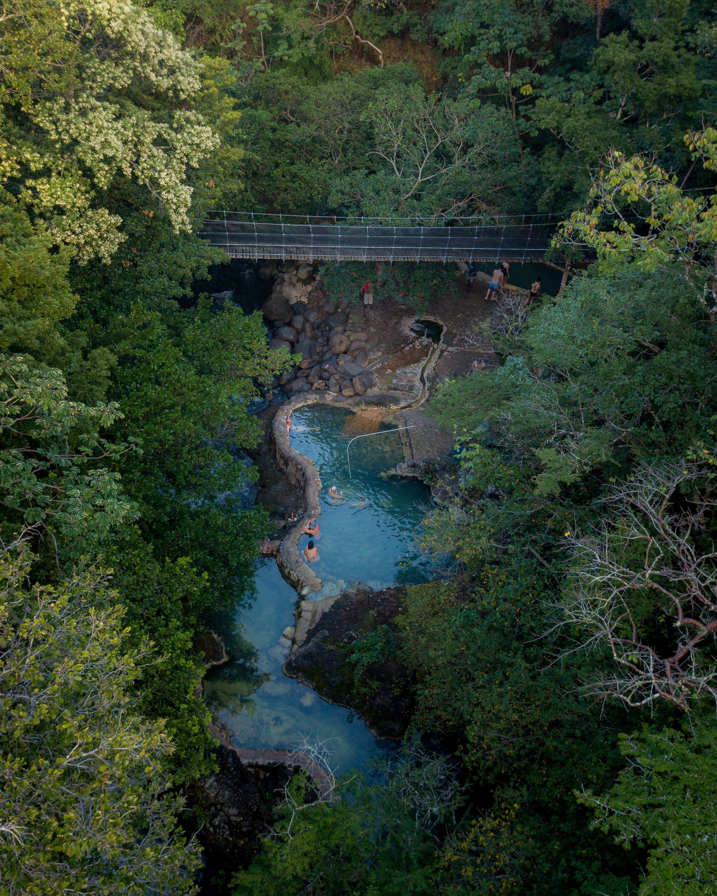 People walking and swimming in a natural spring beneath a suspension bridge in a lush, green forest.