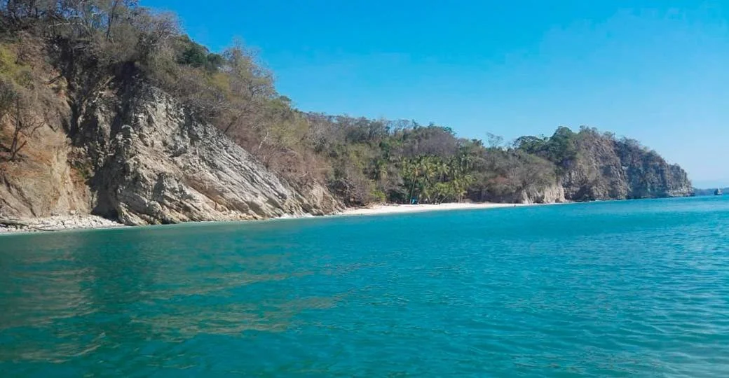 Coastal landscape with turquoise water, rocky cliffs, and sparse trees under a clear blue sky.