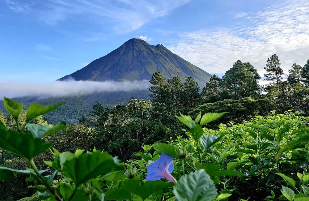 A tall, erupting volcano surrounded by green forest with a partly cloudy sky and a layer of clouds around the mountain.