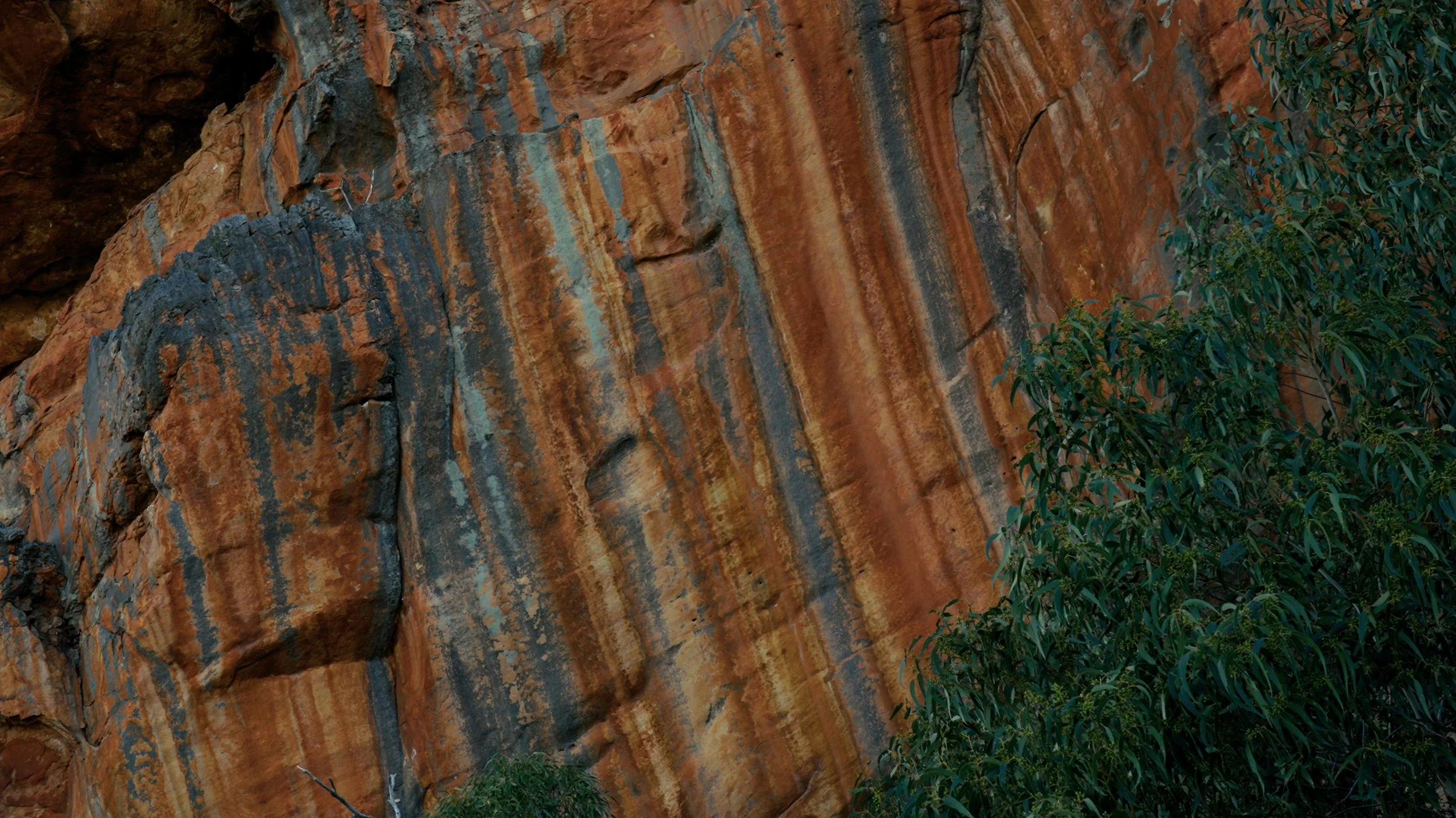 Still 2026-09-11 123919_1.2.1.jpg