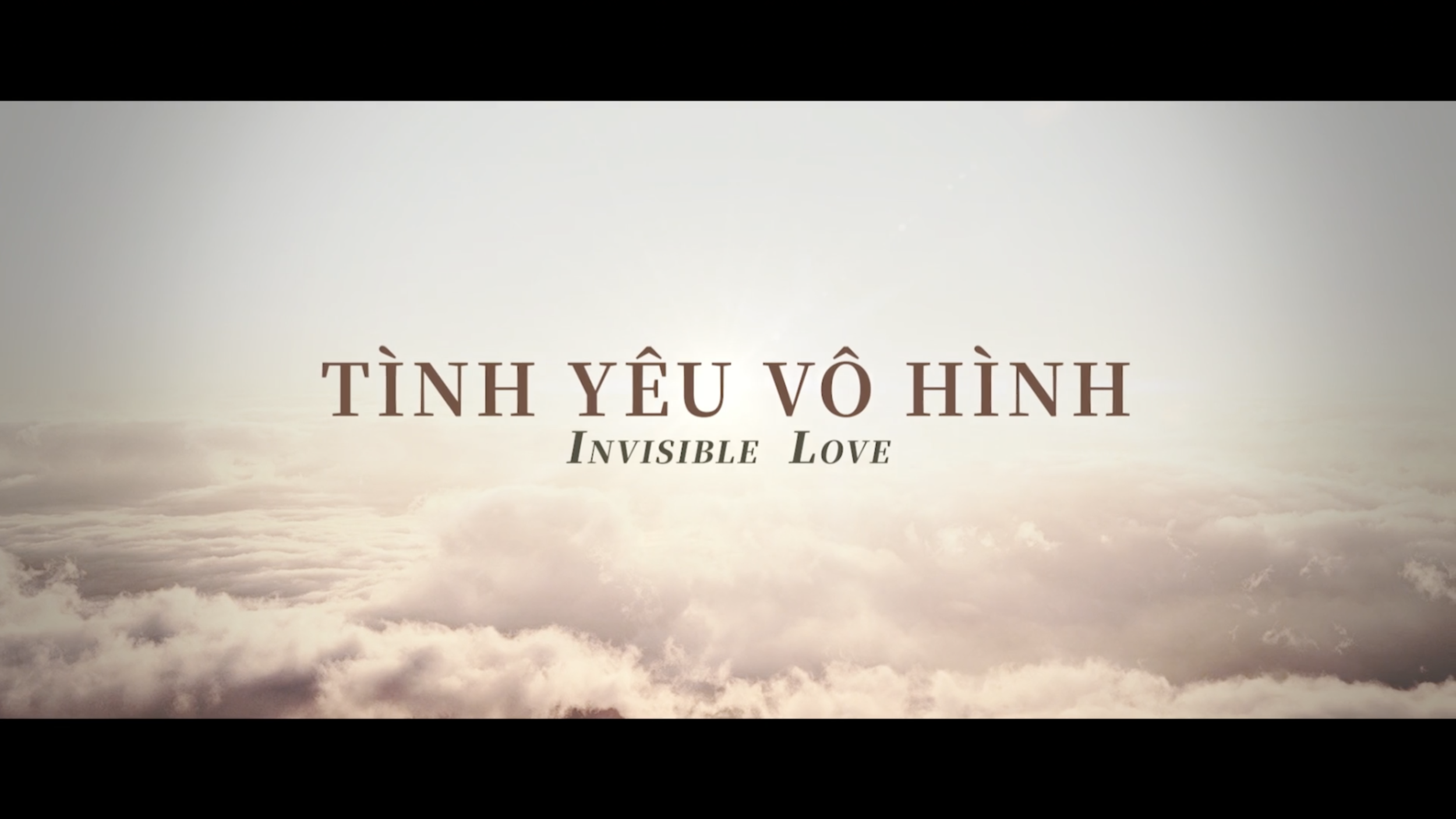 Co-Productions, including - Invisible Love