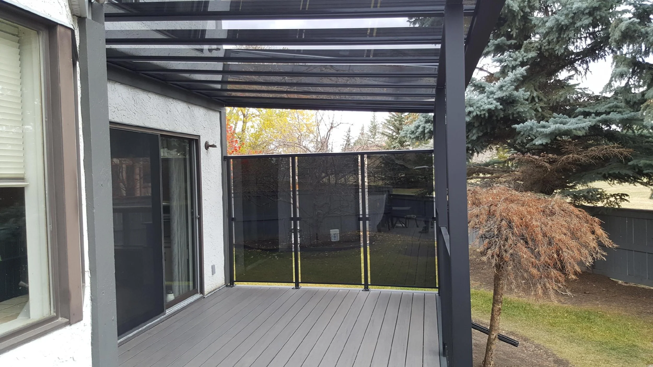 A backyard patio with a black metal and glass roof structure, a small balcony with a black railing, and a glass sliding door leading inside. There is a tall pine tree and a deciduous shrub in the yard, with some autumn-colored leaves visible on the t