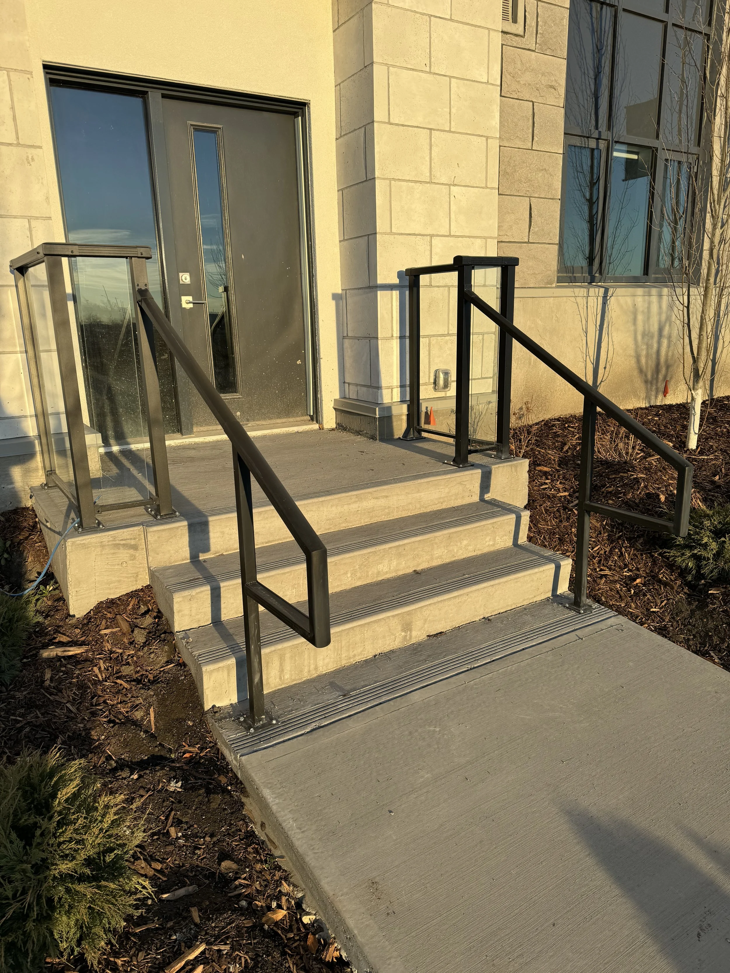 Exterior entrance to a building with black door, glass side panels, and metal railings on concrete steps and ramp, sunlit with shadows of a leafless tree