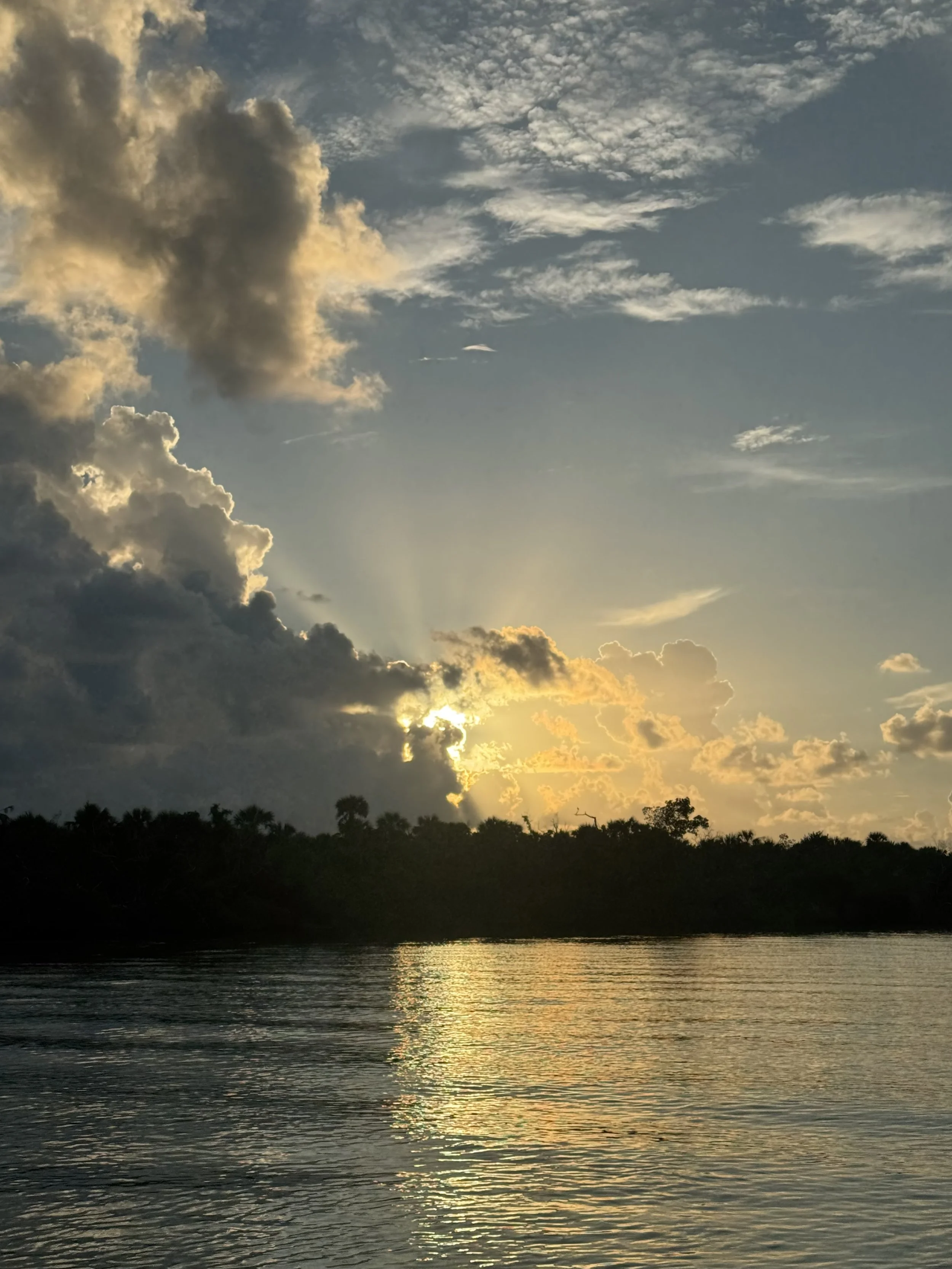 A8155D9E-3DAA-4215-B1E6-9C12D9A02270.jpeg