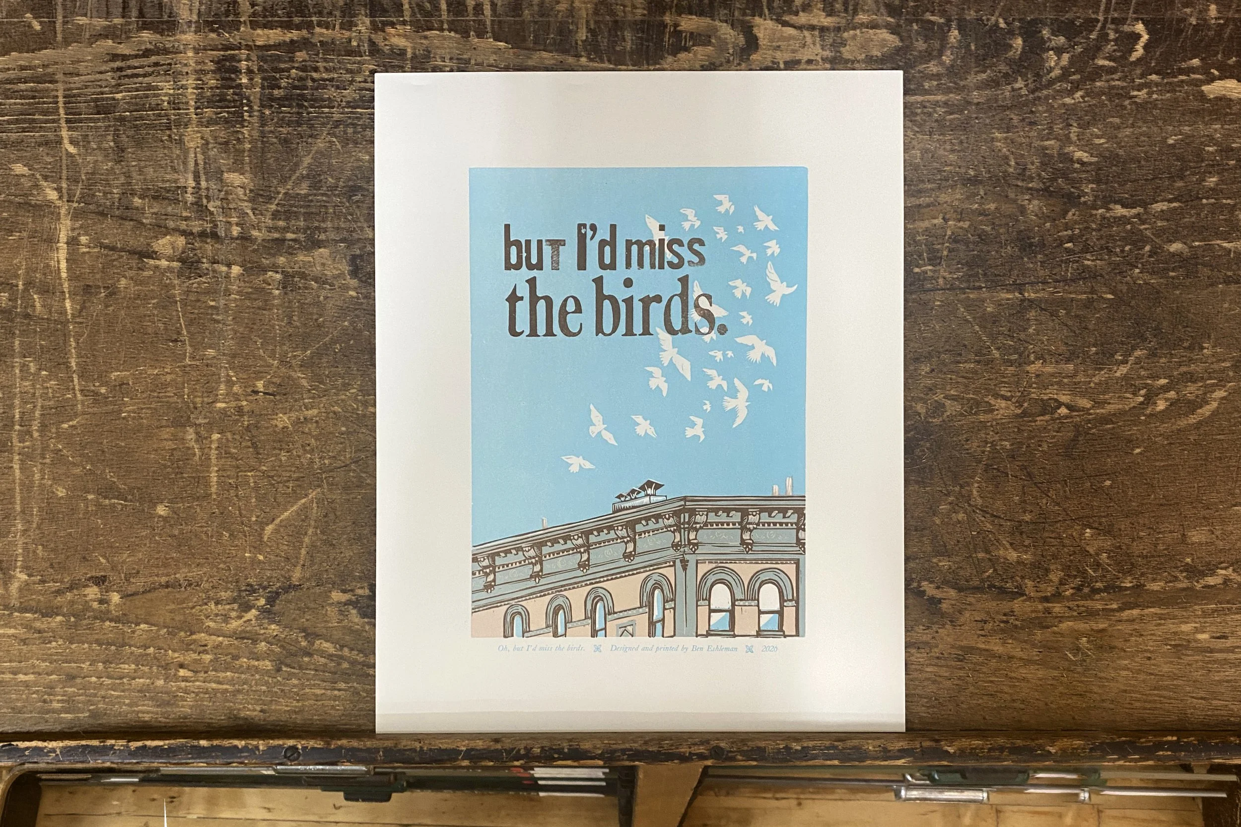 But I'd Miss the Birds