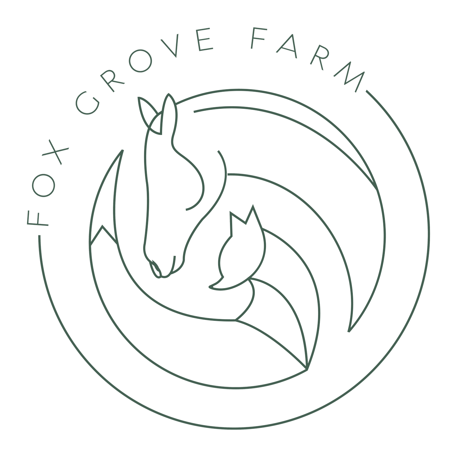 Michelle Conkle - Integrative Equine-Assisted 