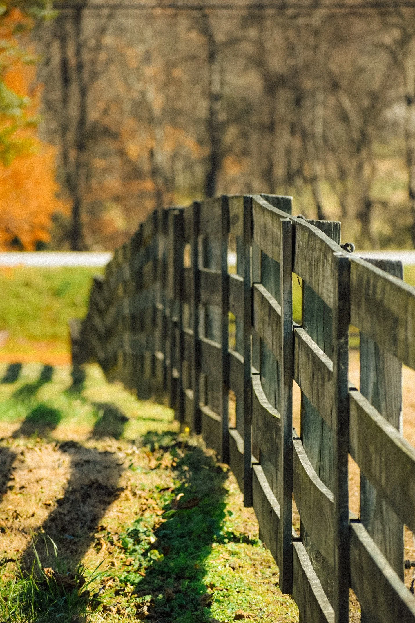 fence.jpg