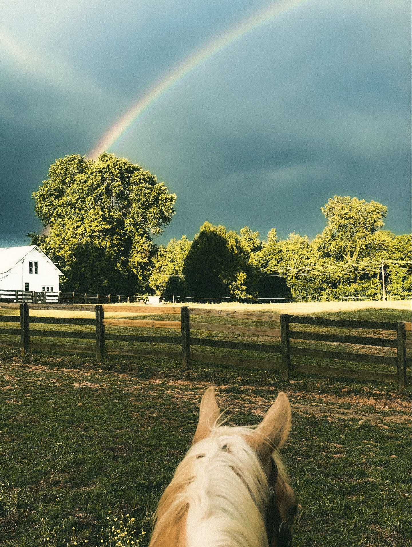 rainbowatfoxgrovefarm-3.jpg