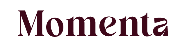 Text that reads 'Momenta' with a stylized font.