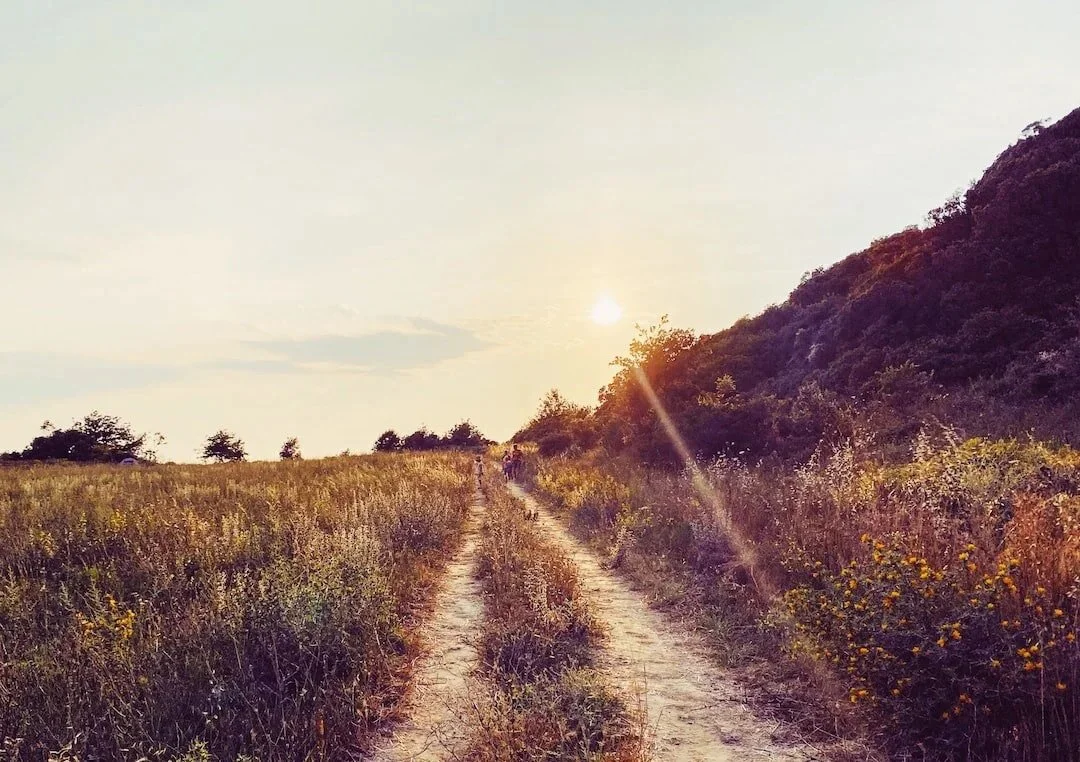 Pathway in a field with people way off in the distance running away
