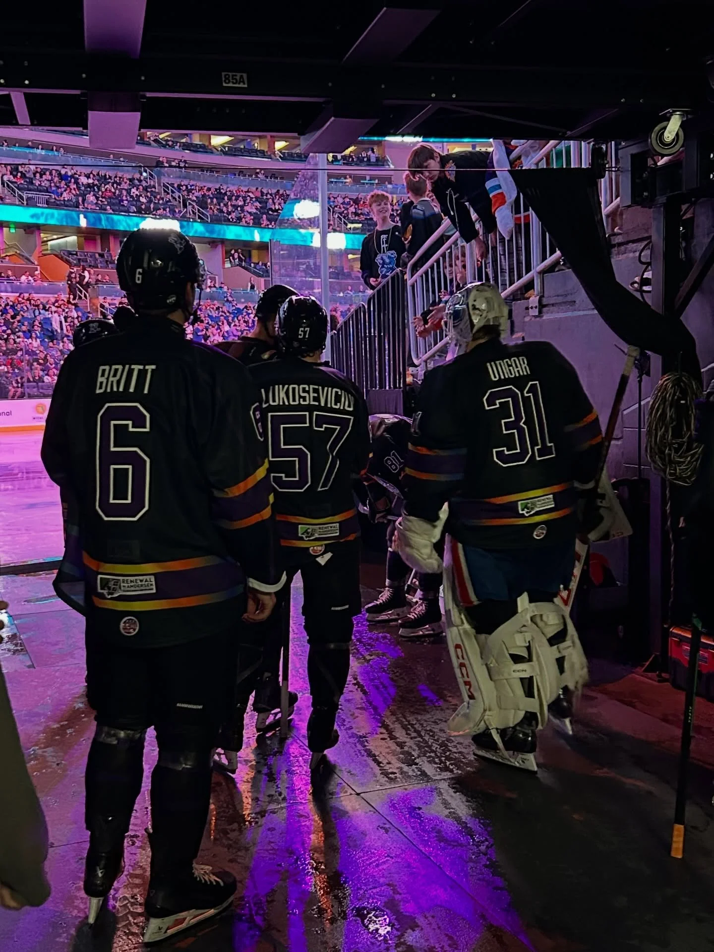 There is a phrase in the hockey community that says "hockey is for everyone," and nights like this one remind us all of exactly why that matters. 

It was such an honor to work alongside the @solarbearshockey to bring our local Deaf communi