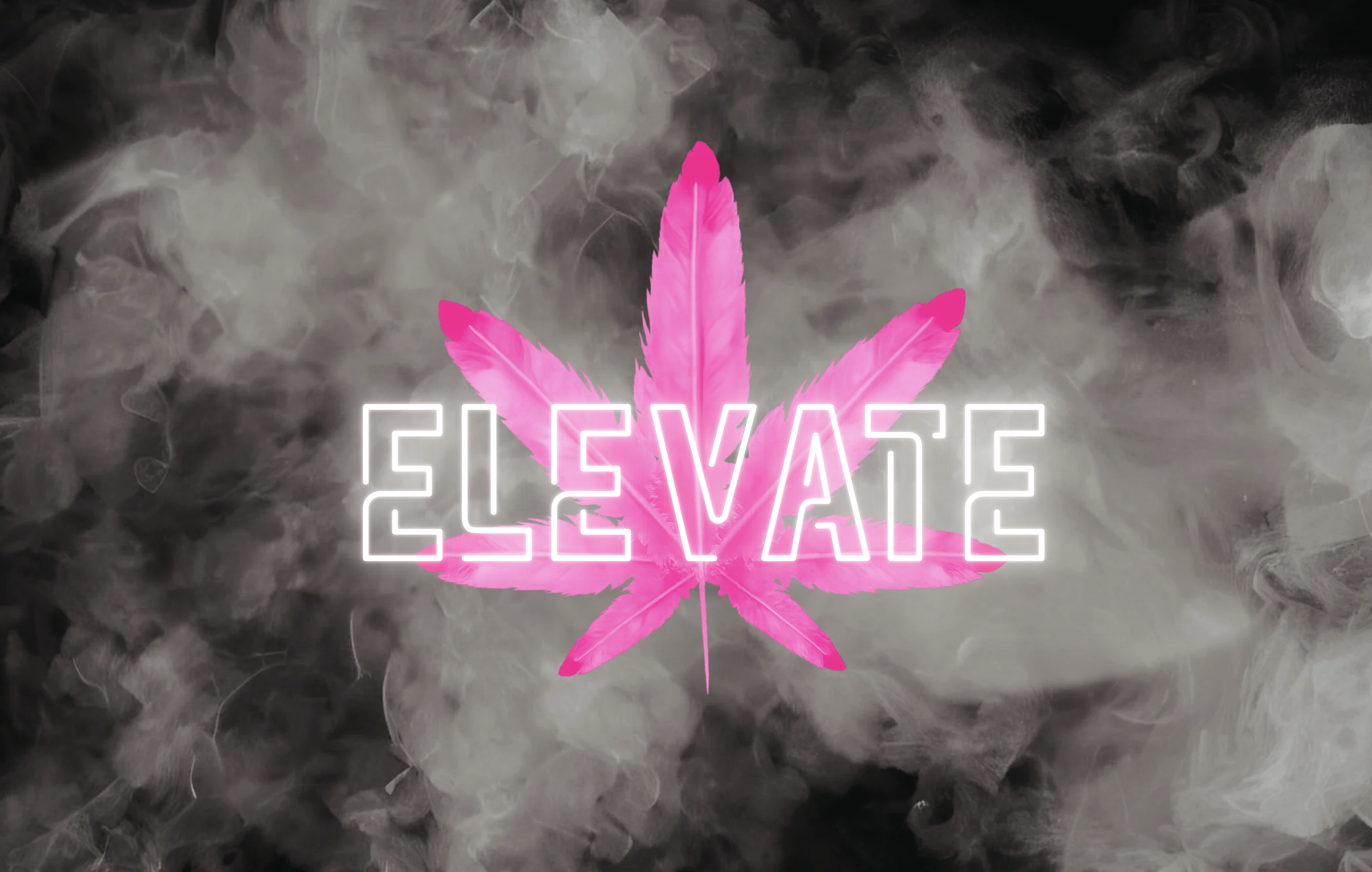 The ELEVATE Experience
