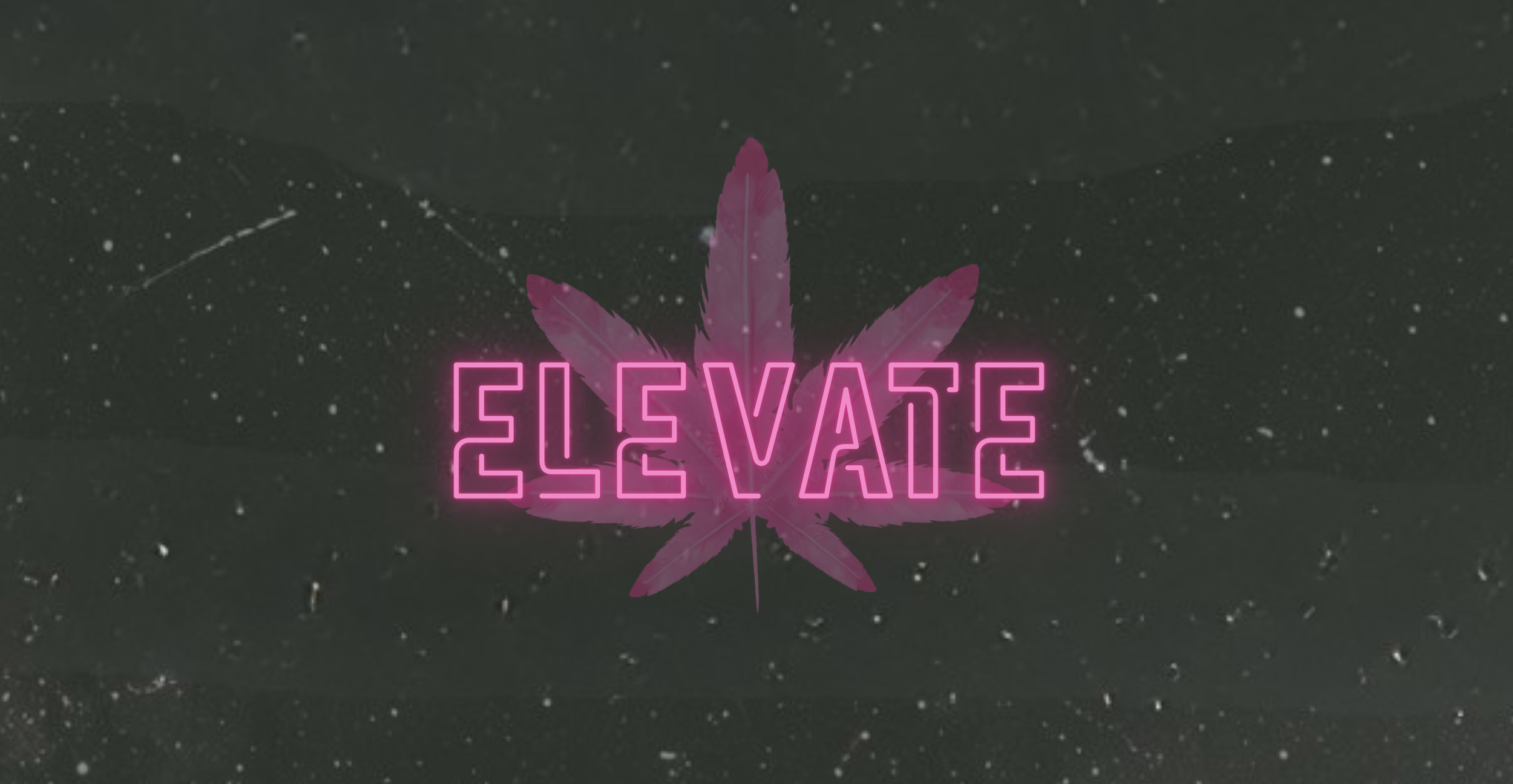 ELEVATE Membership Waitlist