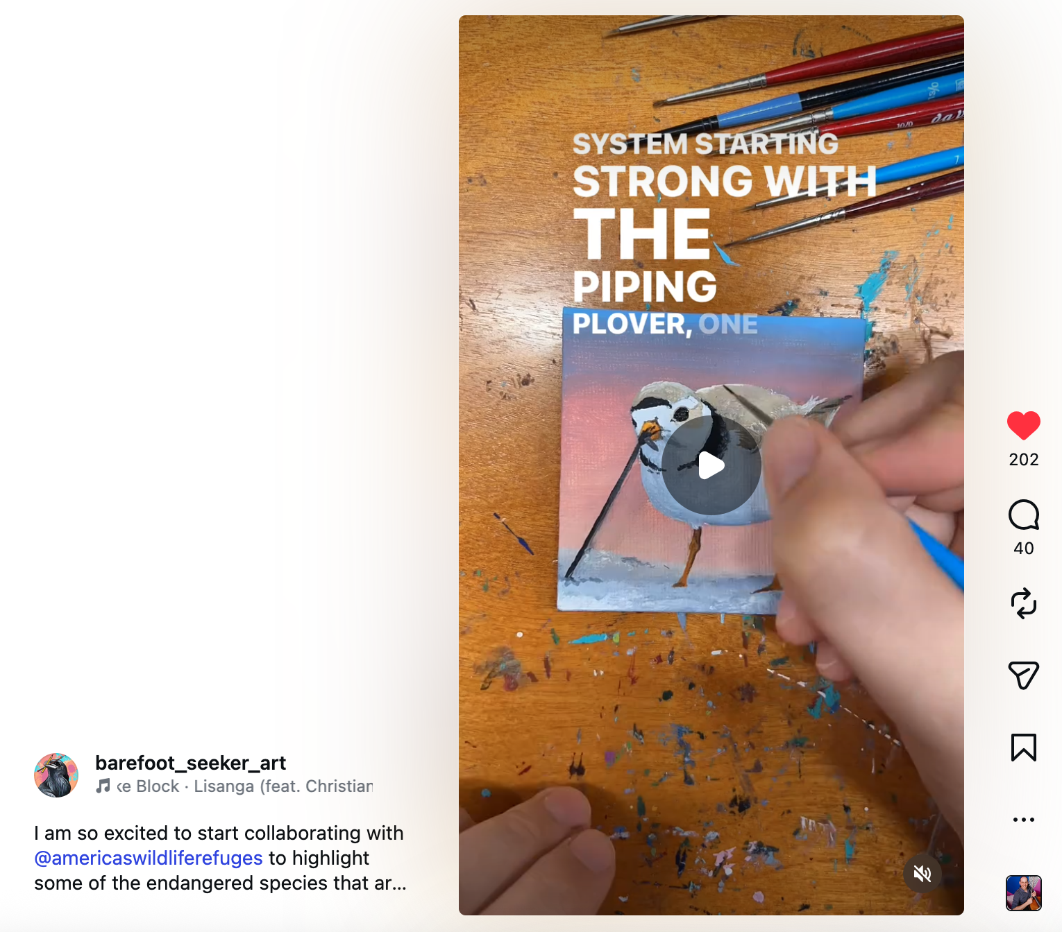 A hand paints a piping plover, a small bird with brown feathers and a long beak, on this Instagram video