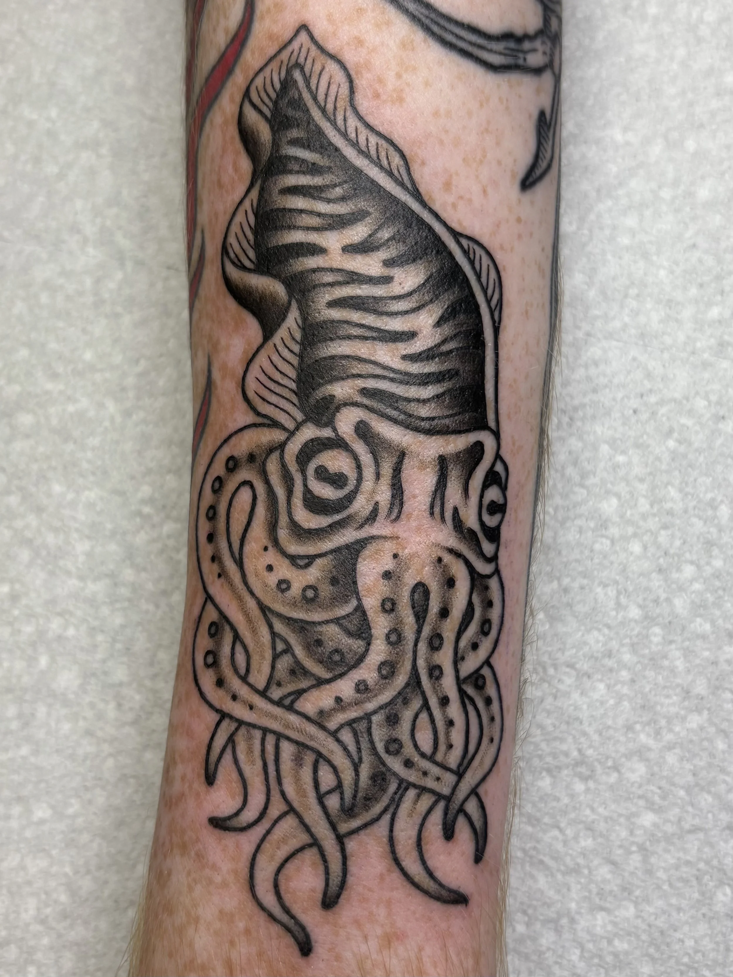 Black outline tattoo of a squid on person's arm.