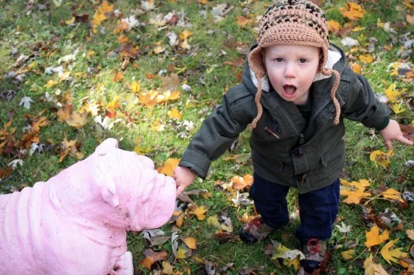 Little boy with his finger on the mouth of a pink concrete bulldog.