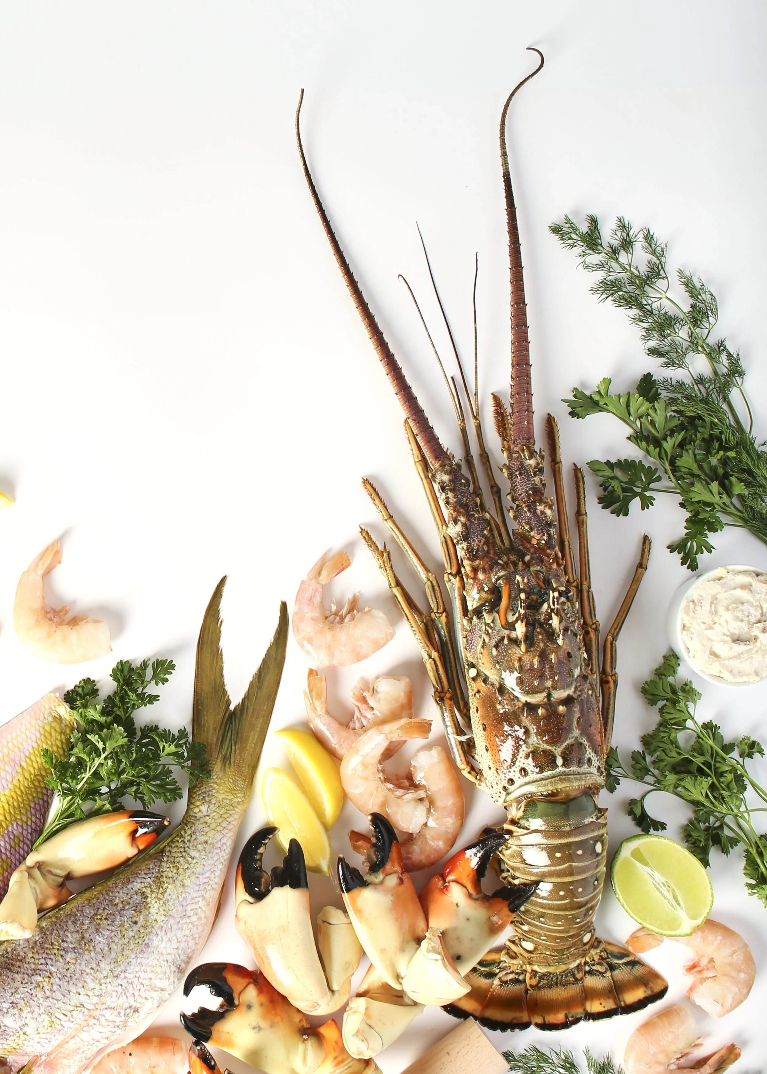 BPSSeafood_FoodPhotography_EmCatalina_8578 1.jpg