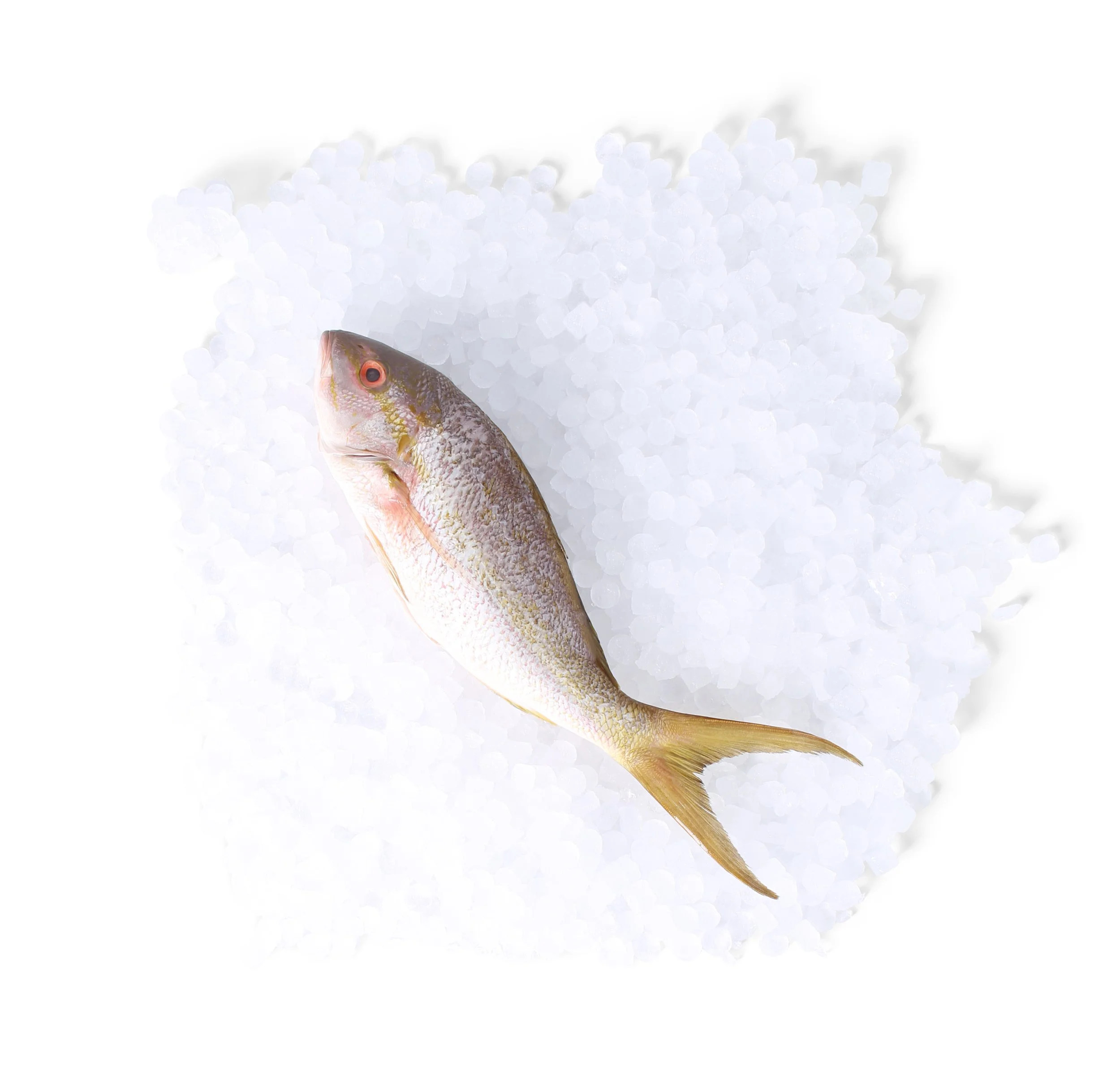 BPSSeafood_FoodPhotography_EmCatalina_8736.jpg