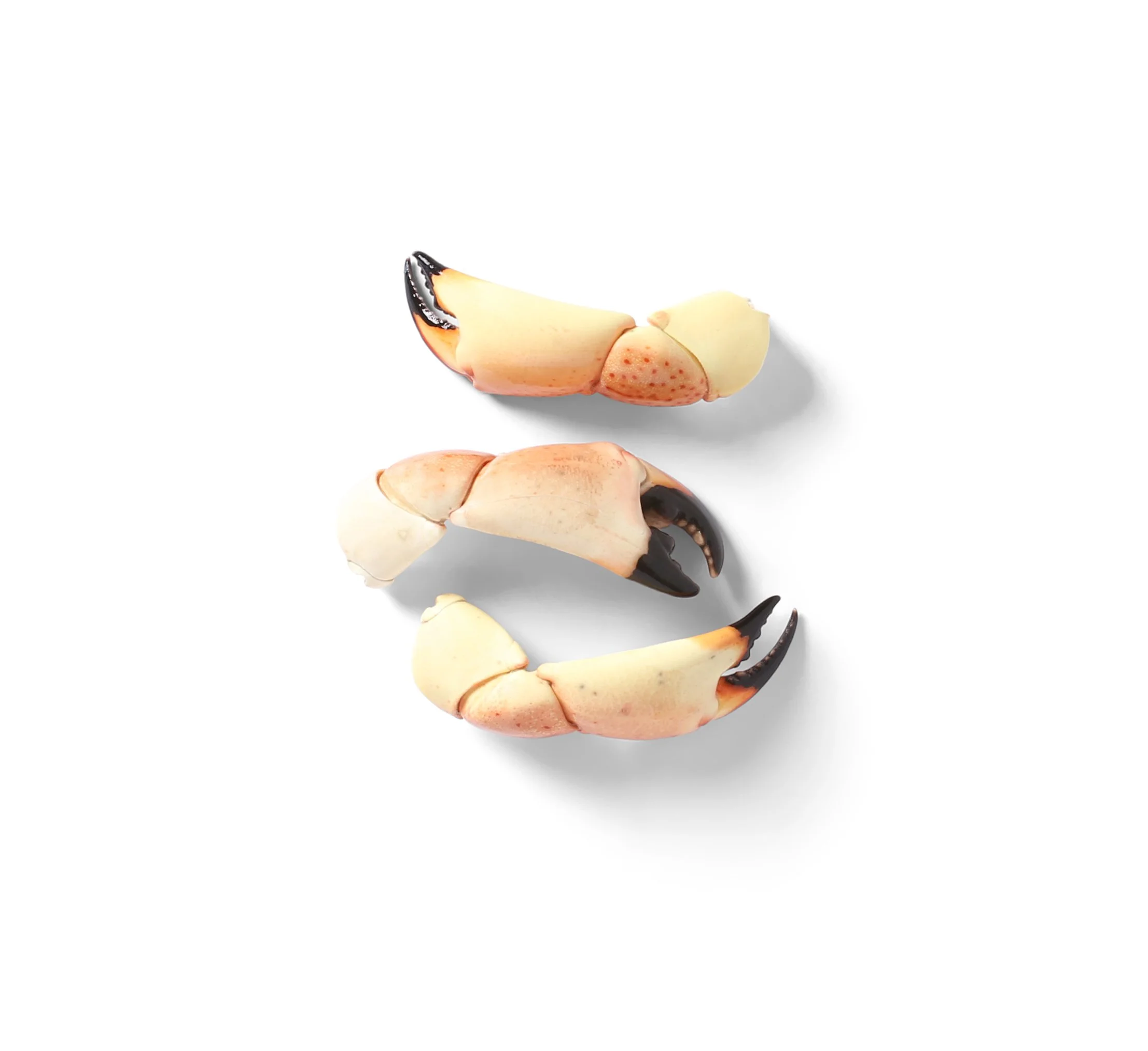 BPSSeafood_FoodPhotography_EmCatalina_8664.jpg